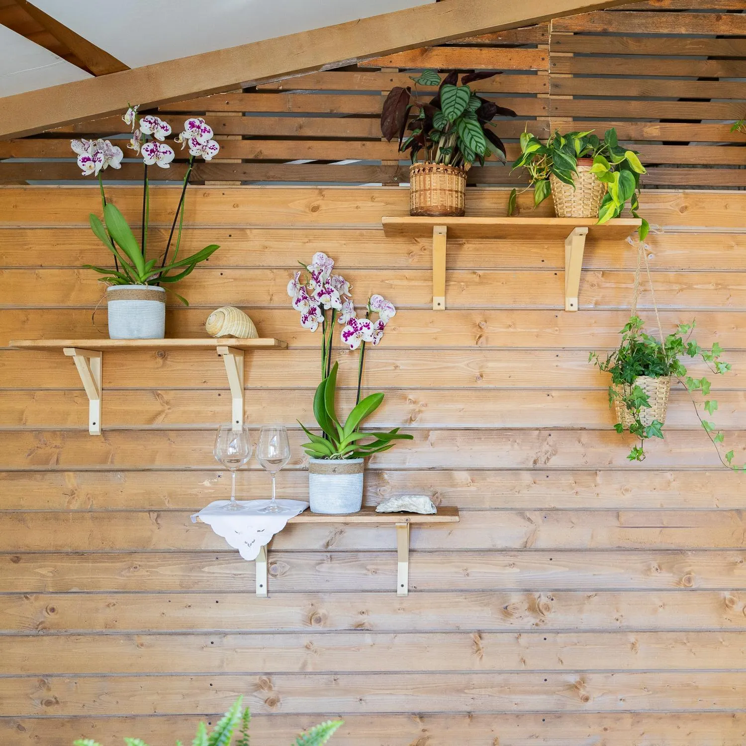 Garden in Ciriga Sicily Glamping