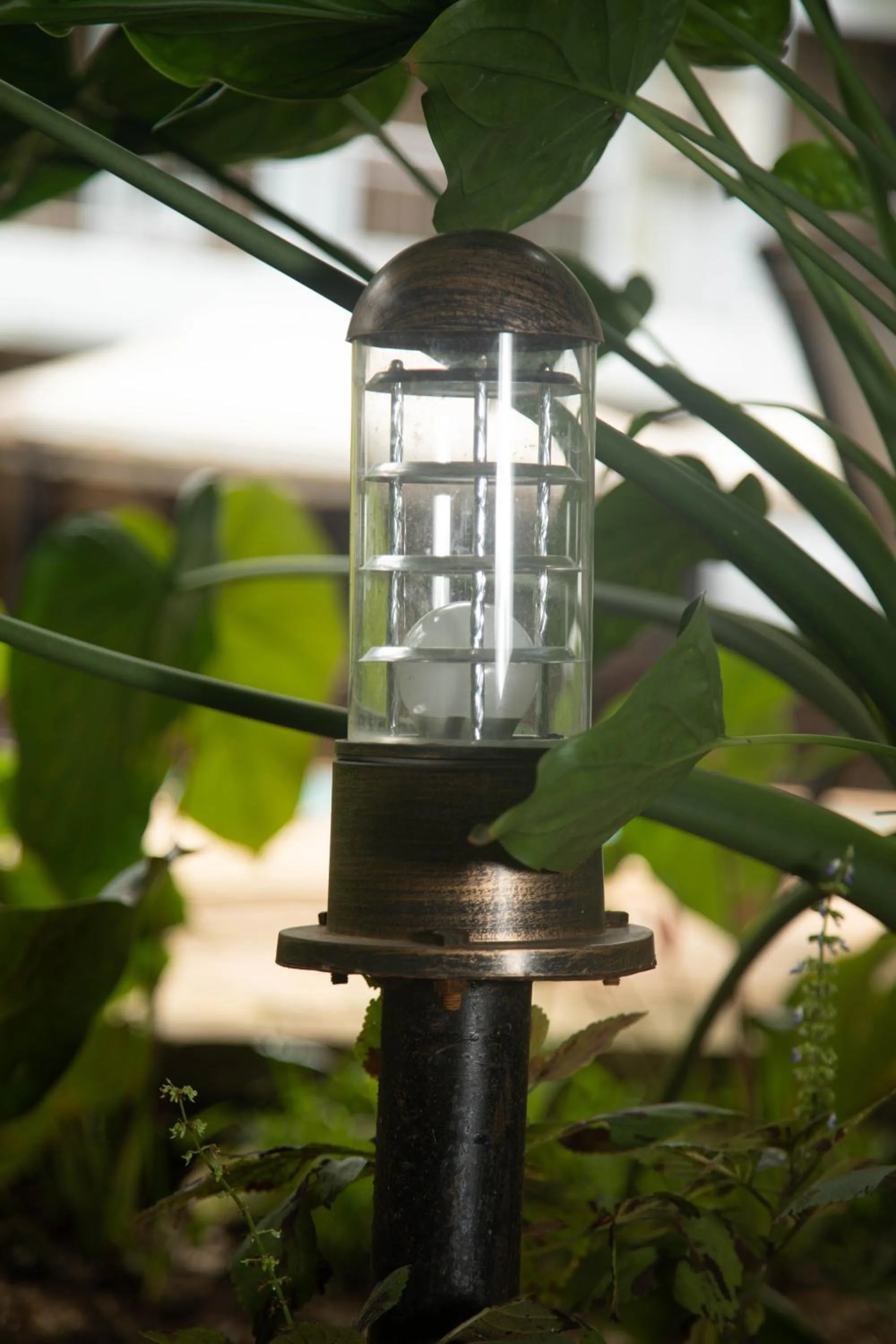 Property building in Panama Garden Resort