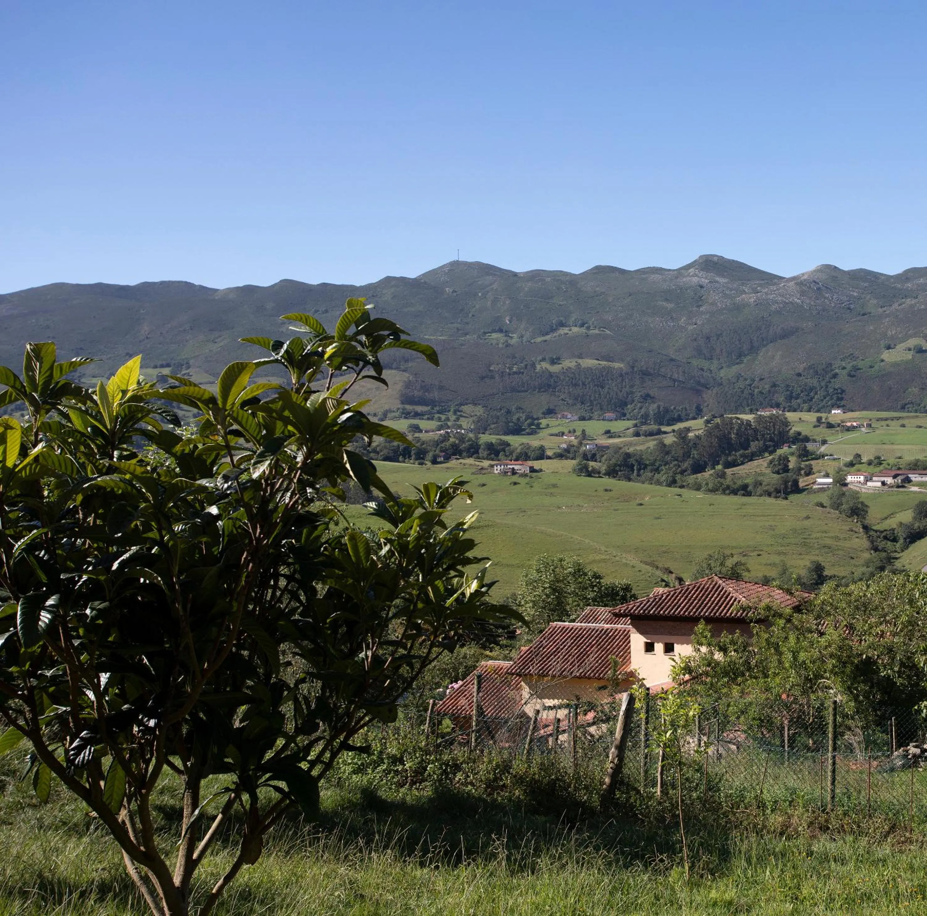 View (from property/room) in Hotel Rural Valleoscuru
