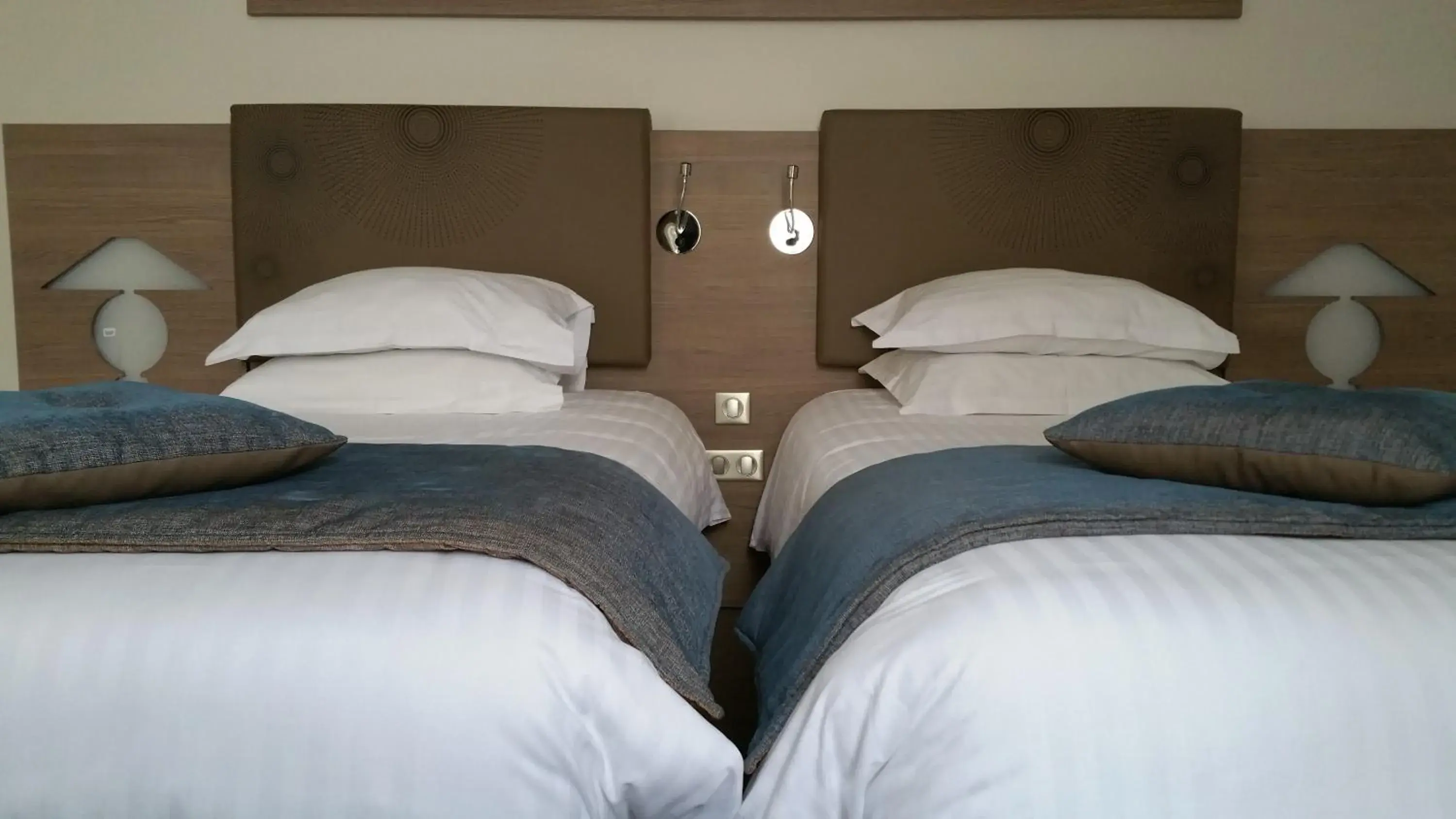 Superior Twin Room in Brit Hotel de Grignan Vichy Superior Twin Room in Brit Hotel de Grignan Vichy