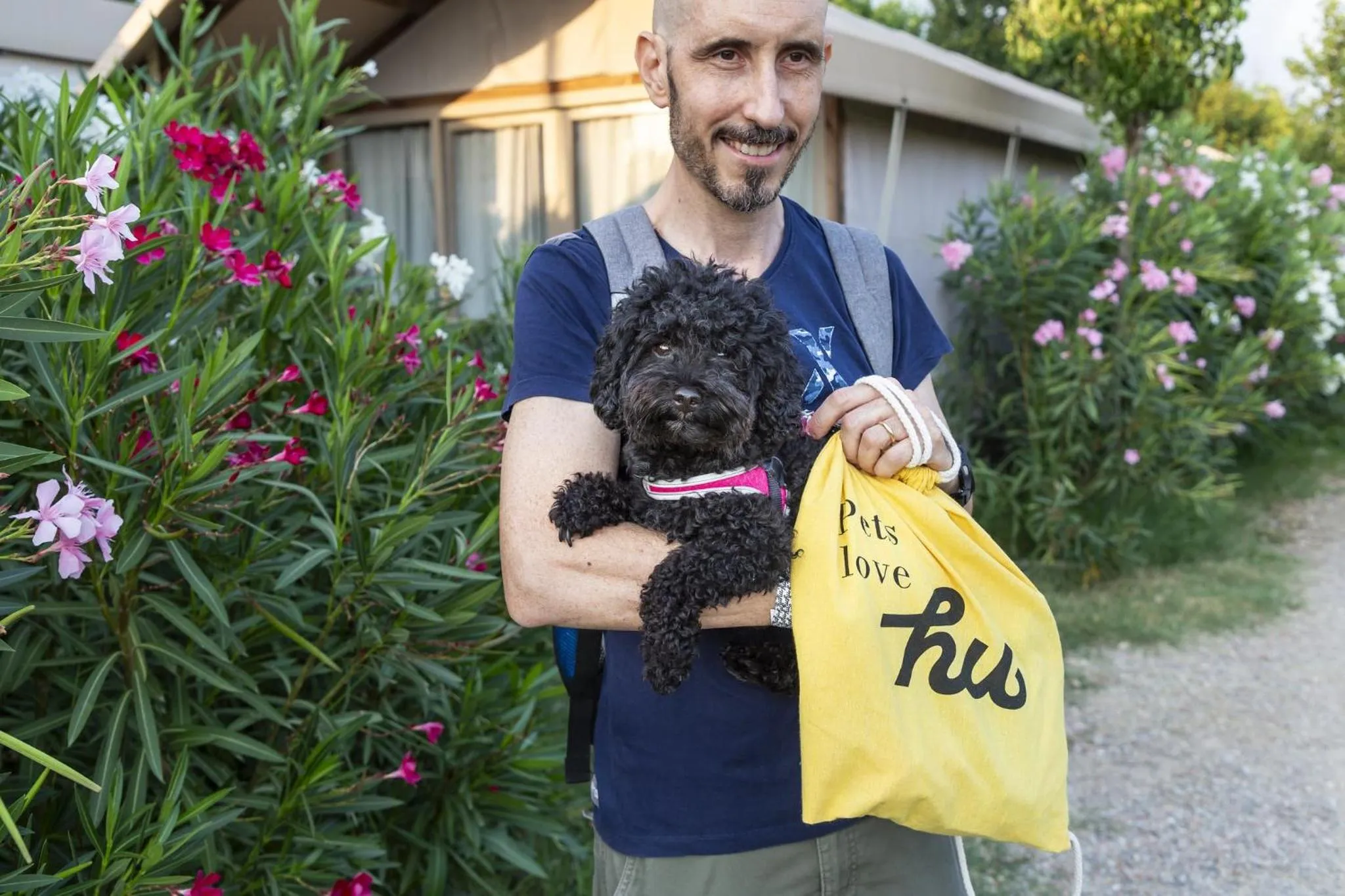 Pets in hu Firenze Camping in Town