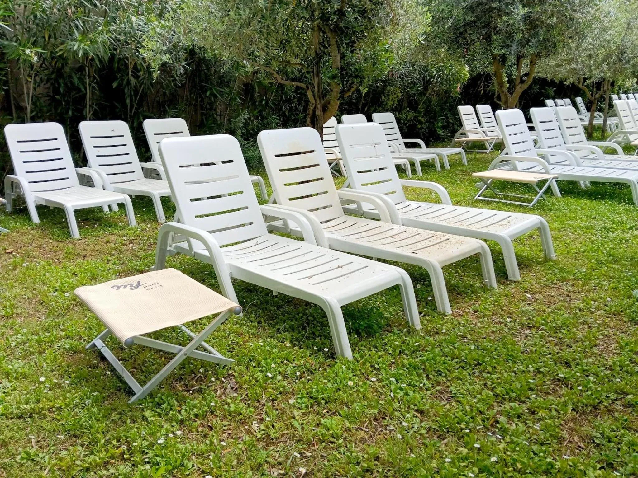 Animals in hu Firenze Camping in Town