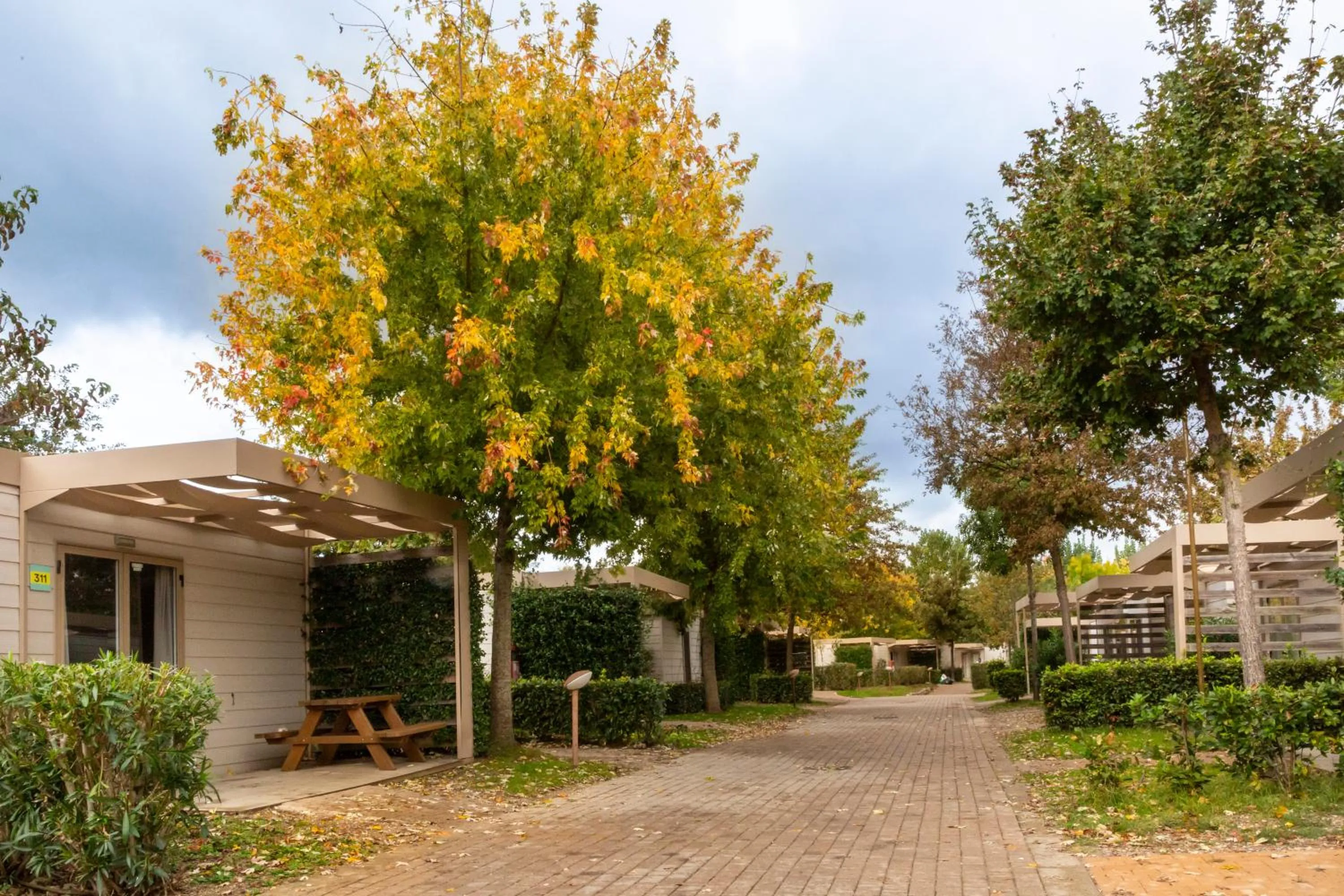 Autumn in hu Firenze Camping in Town