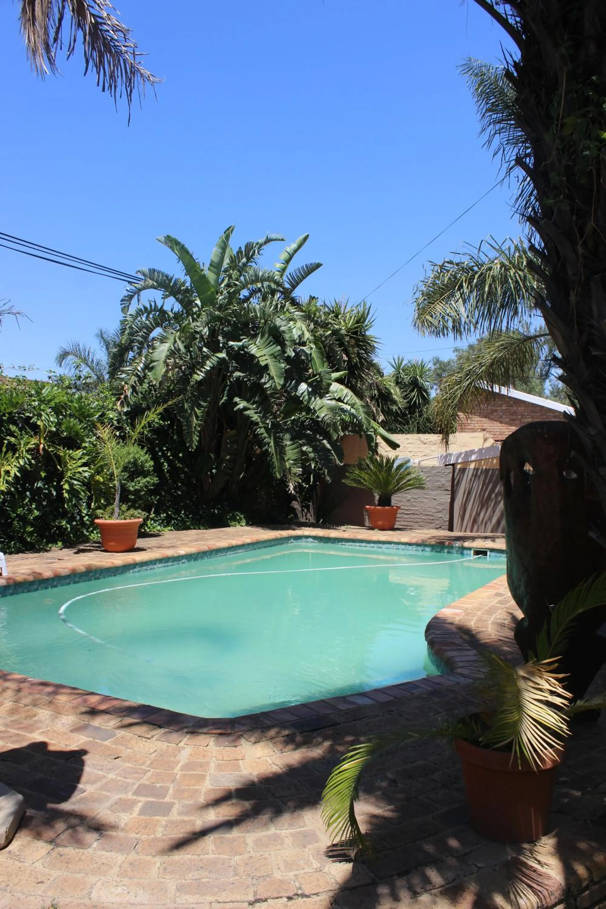 Swimming pool in Kalahari Guest House