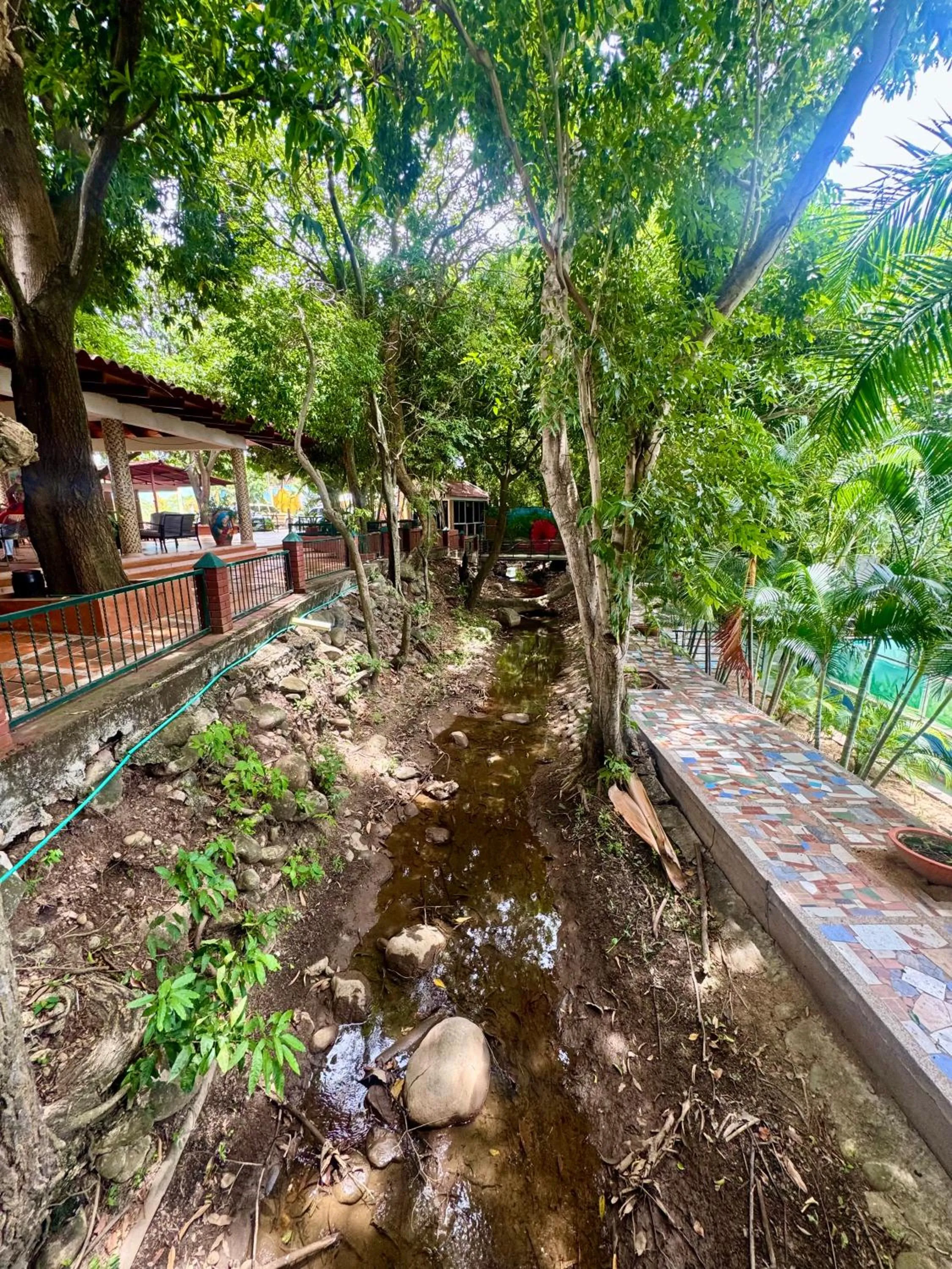 Spring in Hotel El Bosque Valledupar