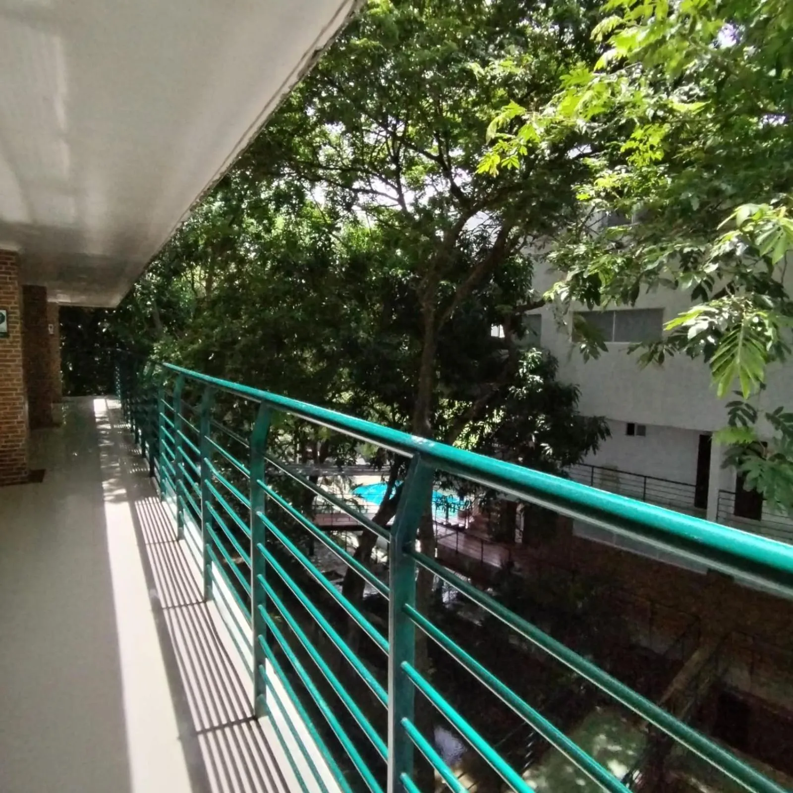 View (from property/room) in Hotel El Bosque Valledupar