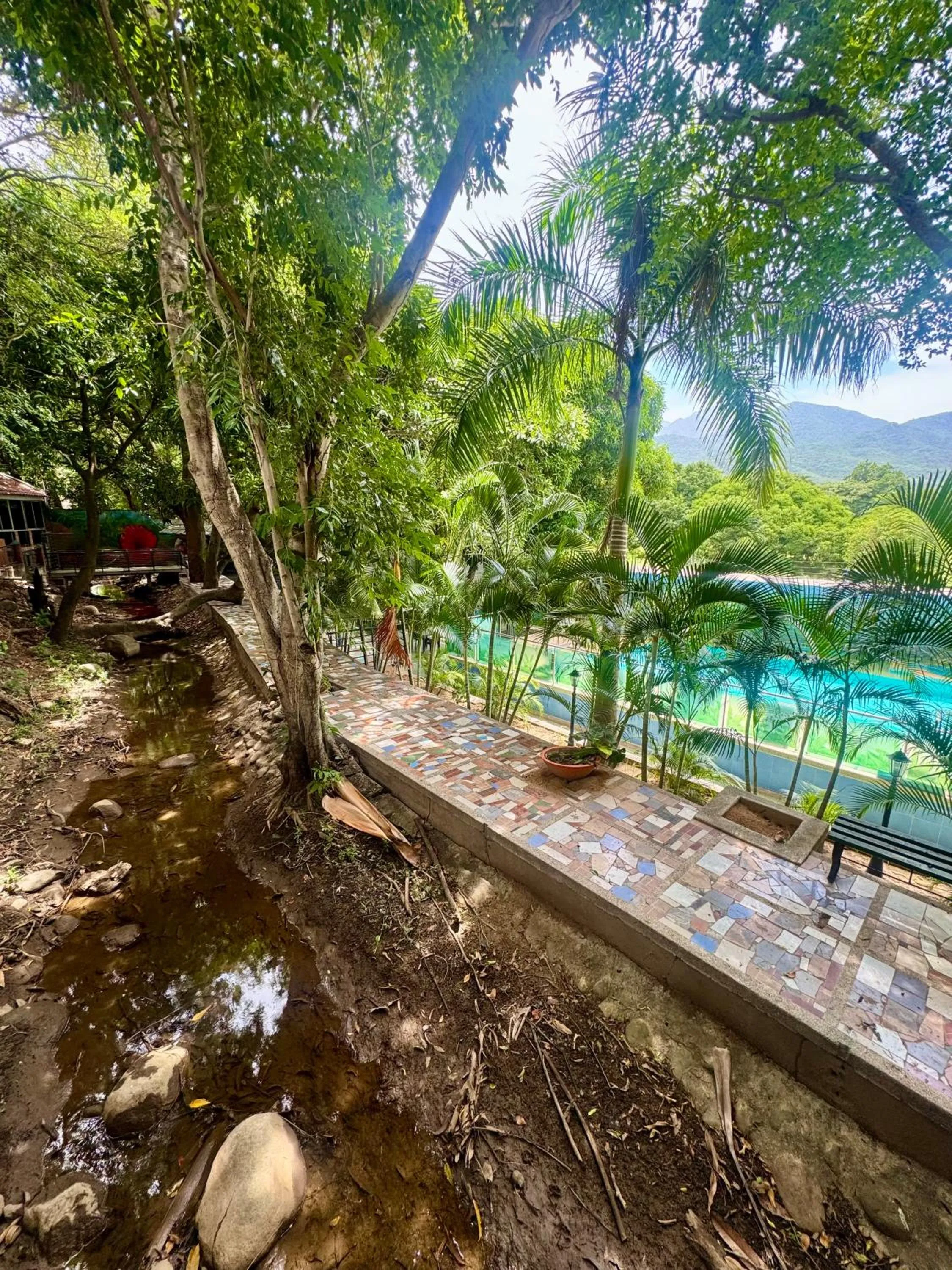 Spring in Hotel El Bosque Valledupar