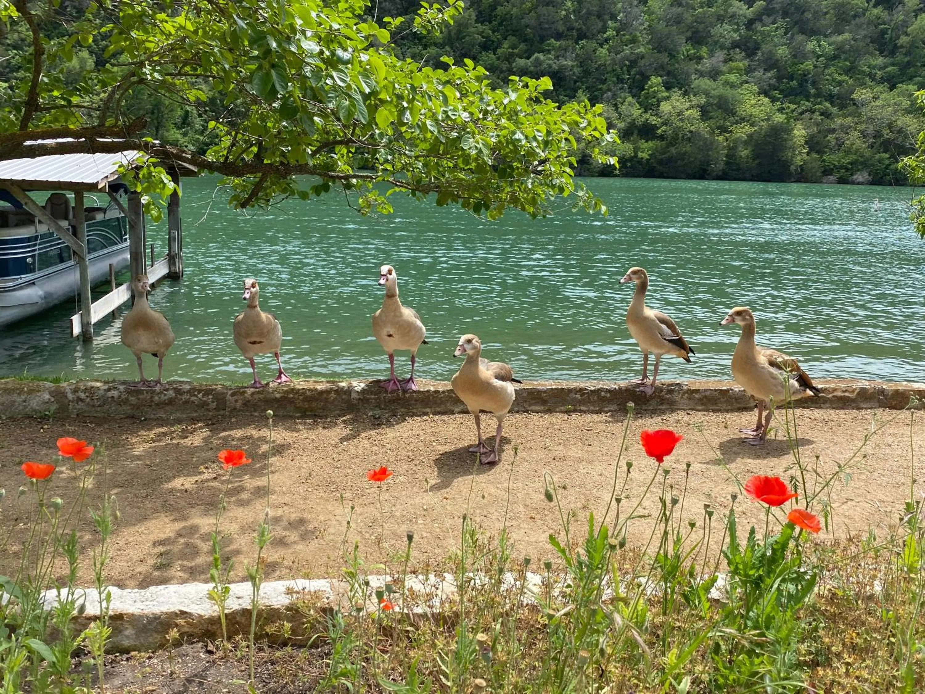 Spring in Lake Austin Spa Resort - All Inclusive