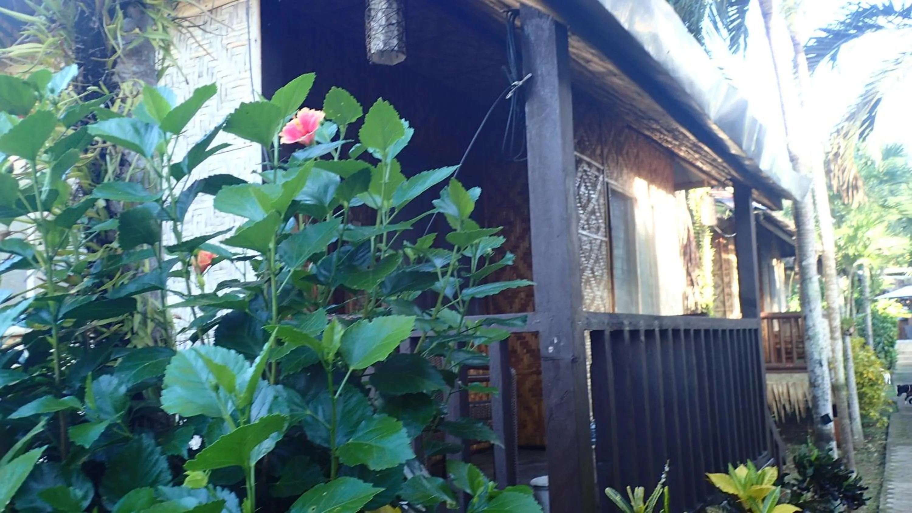 Balcony/Terrace in Island Tiki Paradise Resort