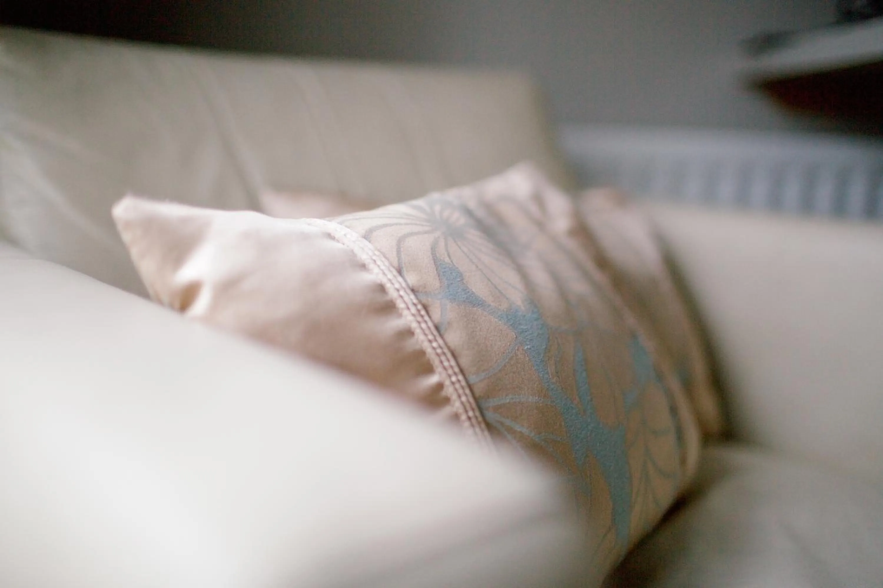 Decorative detail, Bed in Scion Hill Gate Lodge