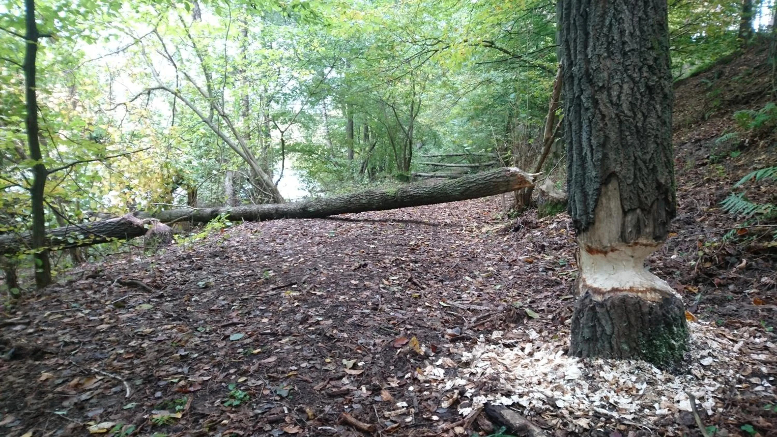 Neighbourhood in FitnessFun