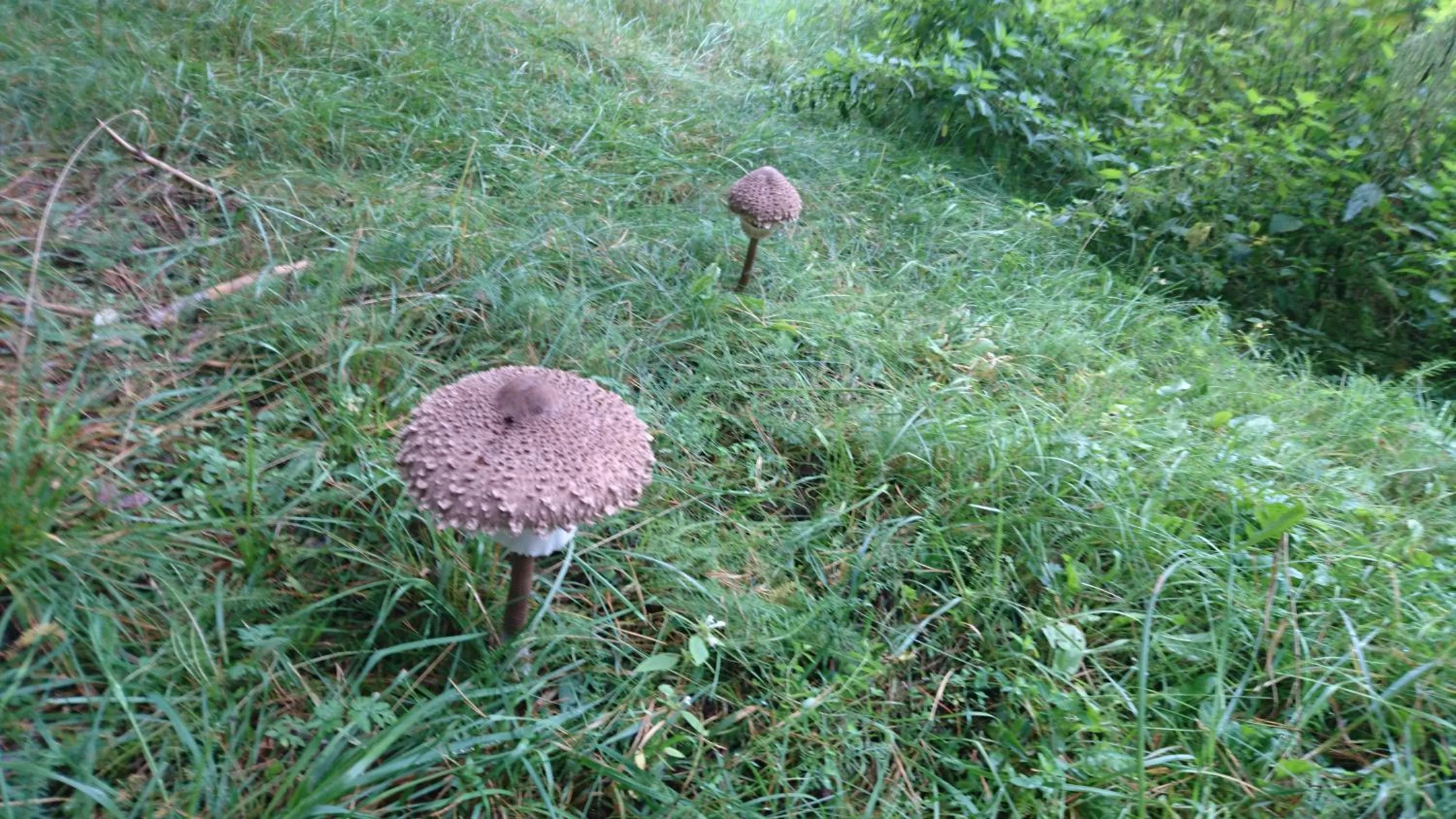 Activities in FitnessFun