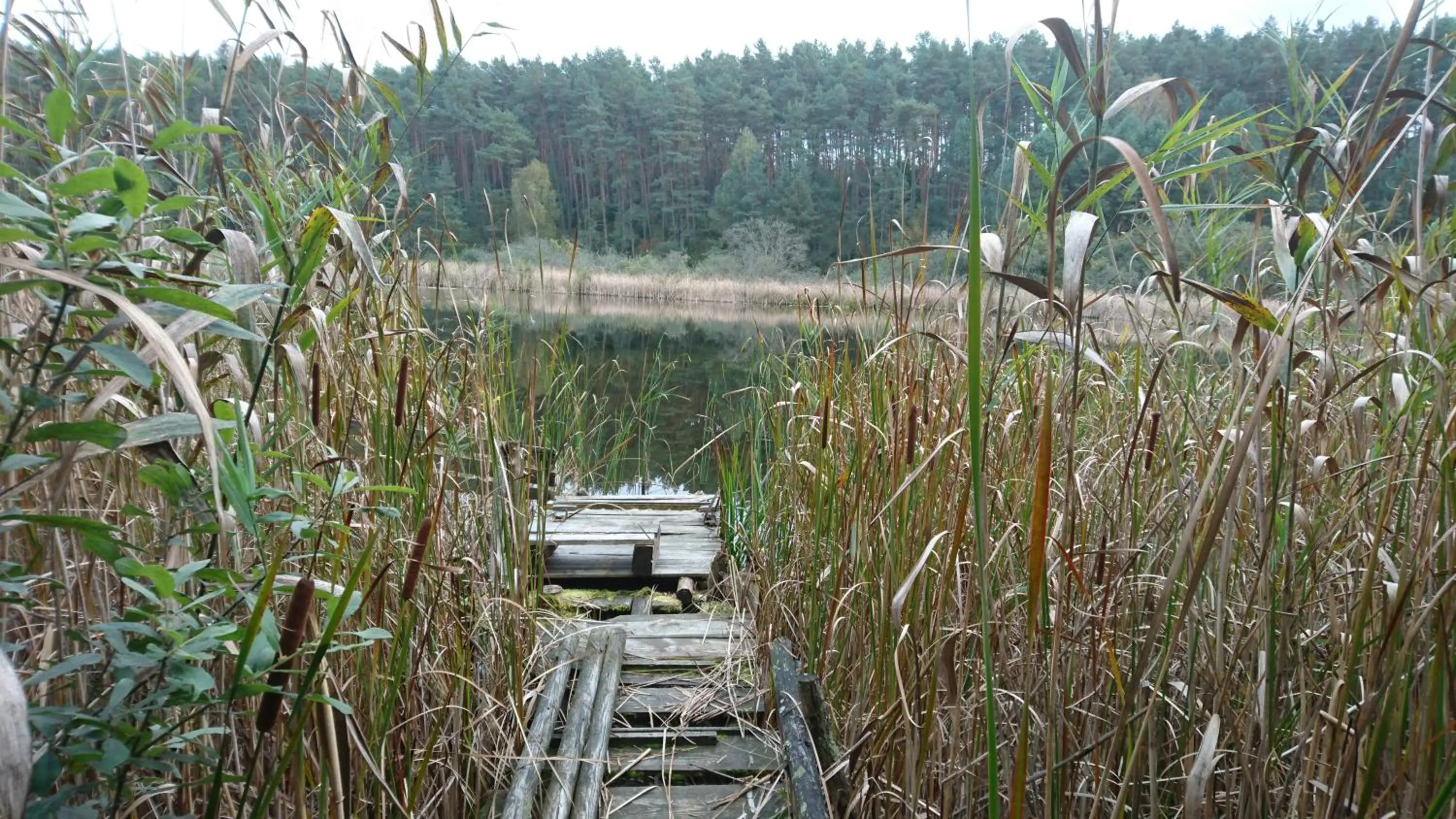 Neighbourhood in FitnessFun