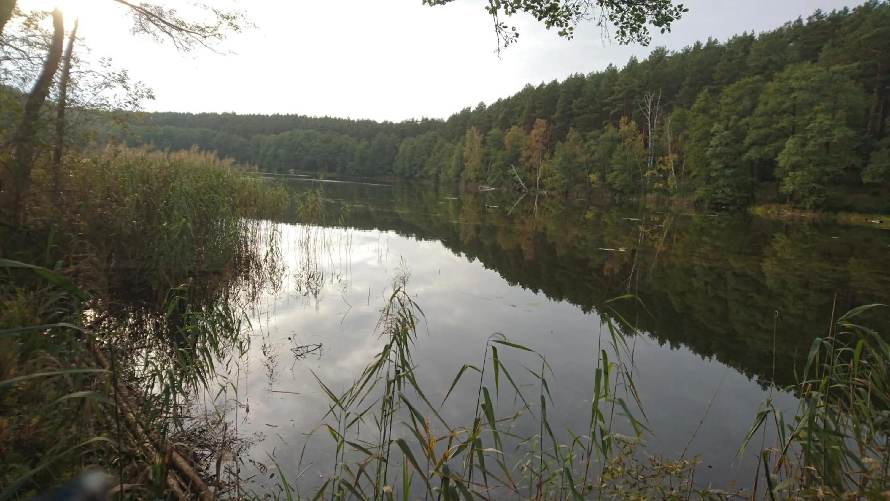 Neighbourhood in FitnessFun