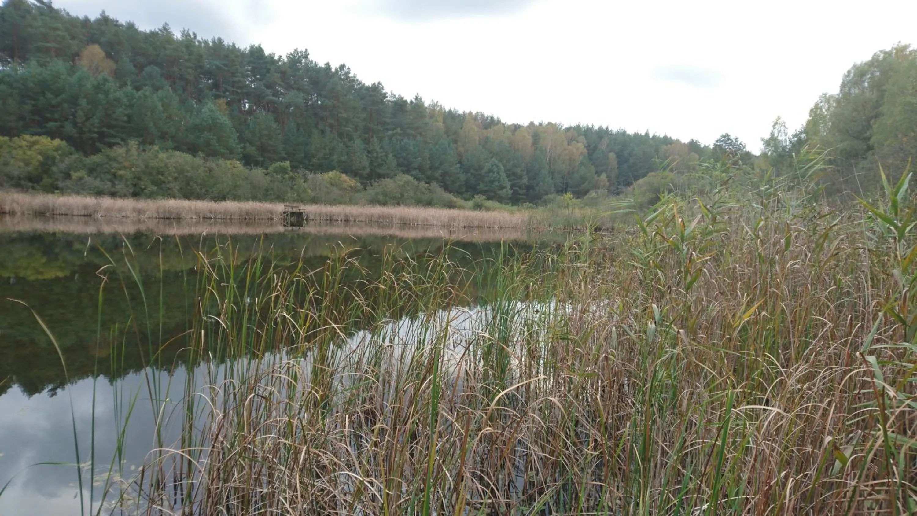 Neighbourhood in FitnessFun