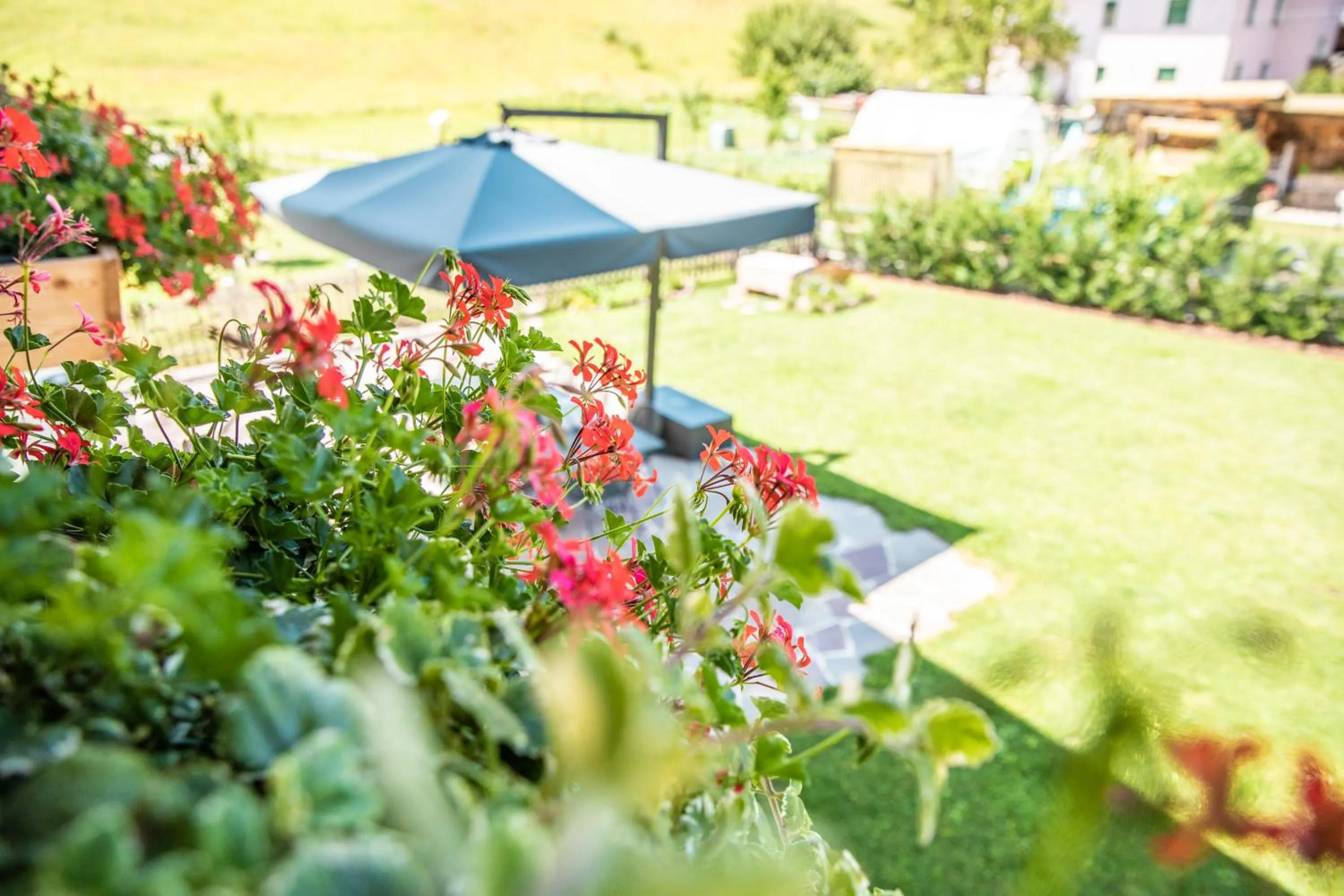 Summer in Garni Maso San Michele