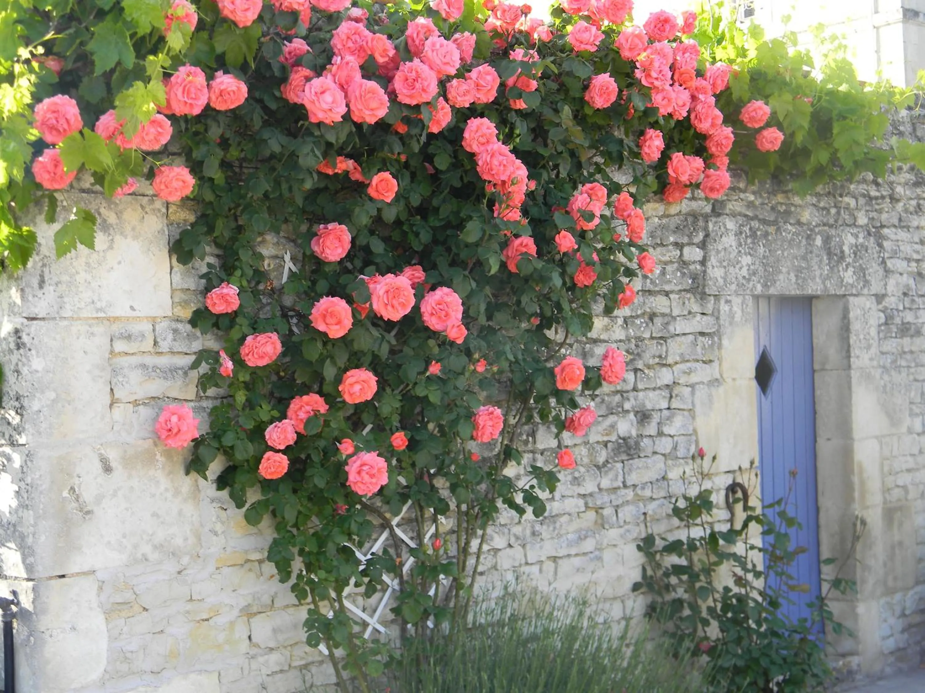 Garden in Le Logis d'ANTIGNY