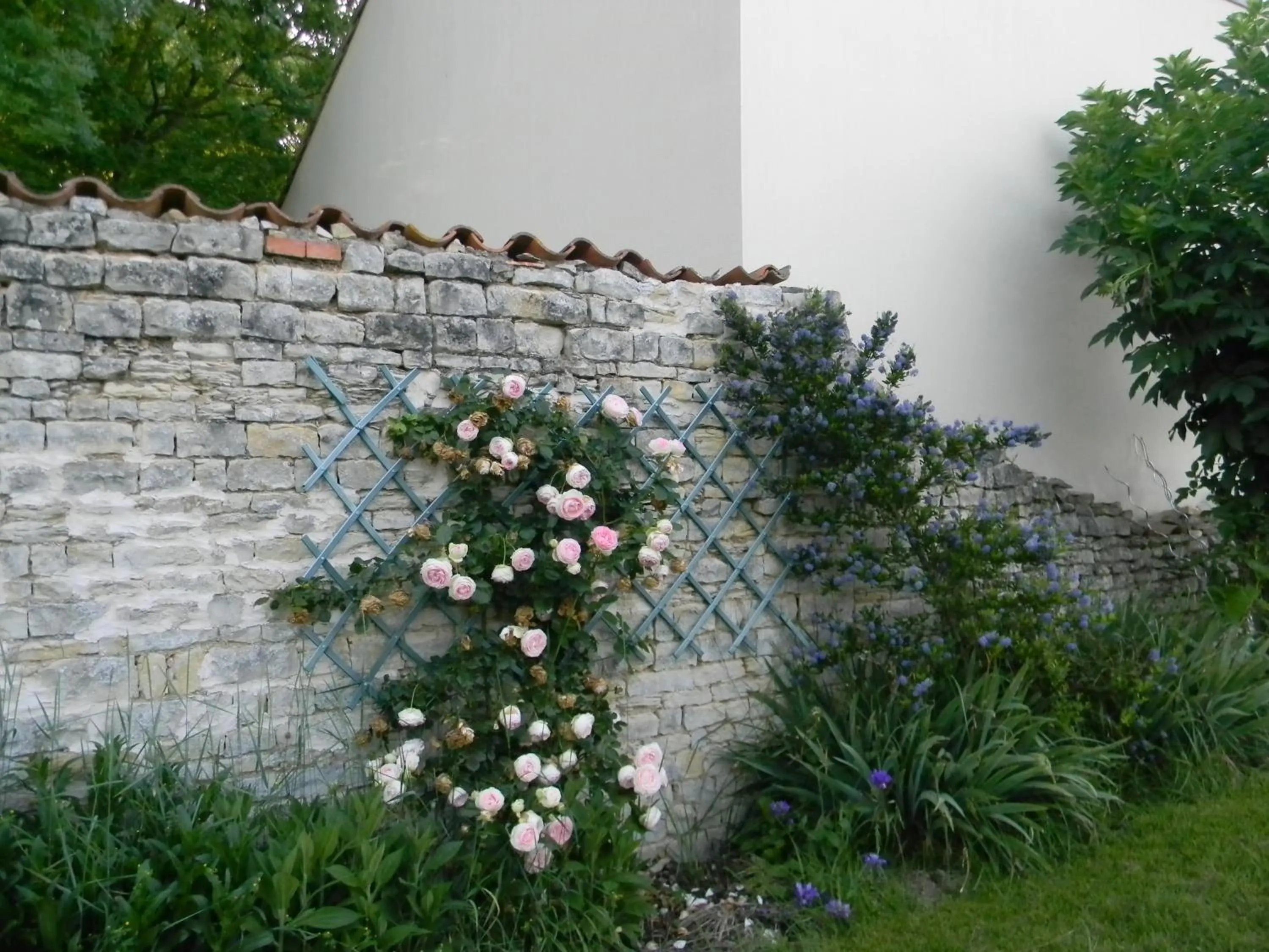Garden in Le Logis d'ANTIGNY