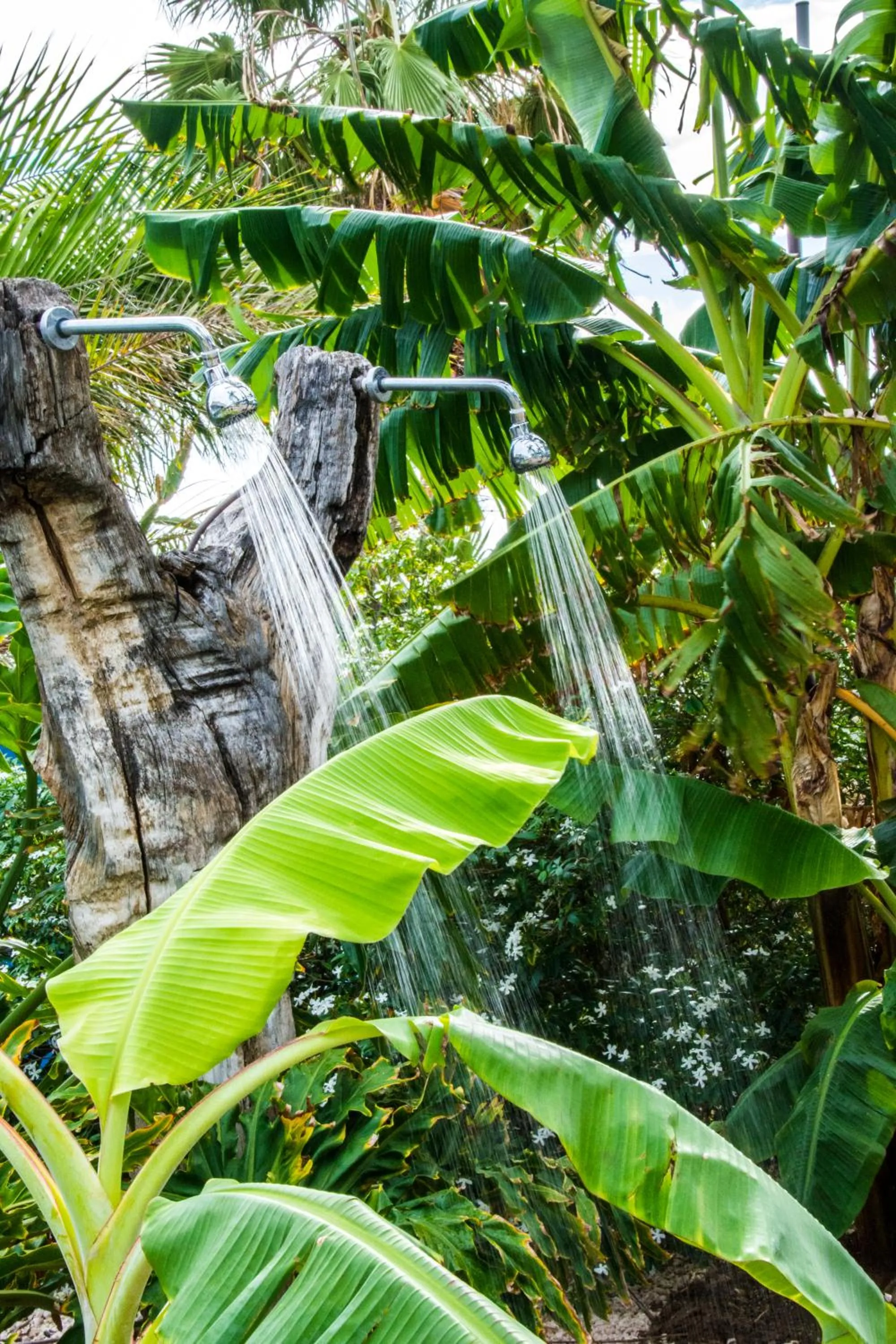 Natural landscape in LionsDive Beach Resort