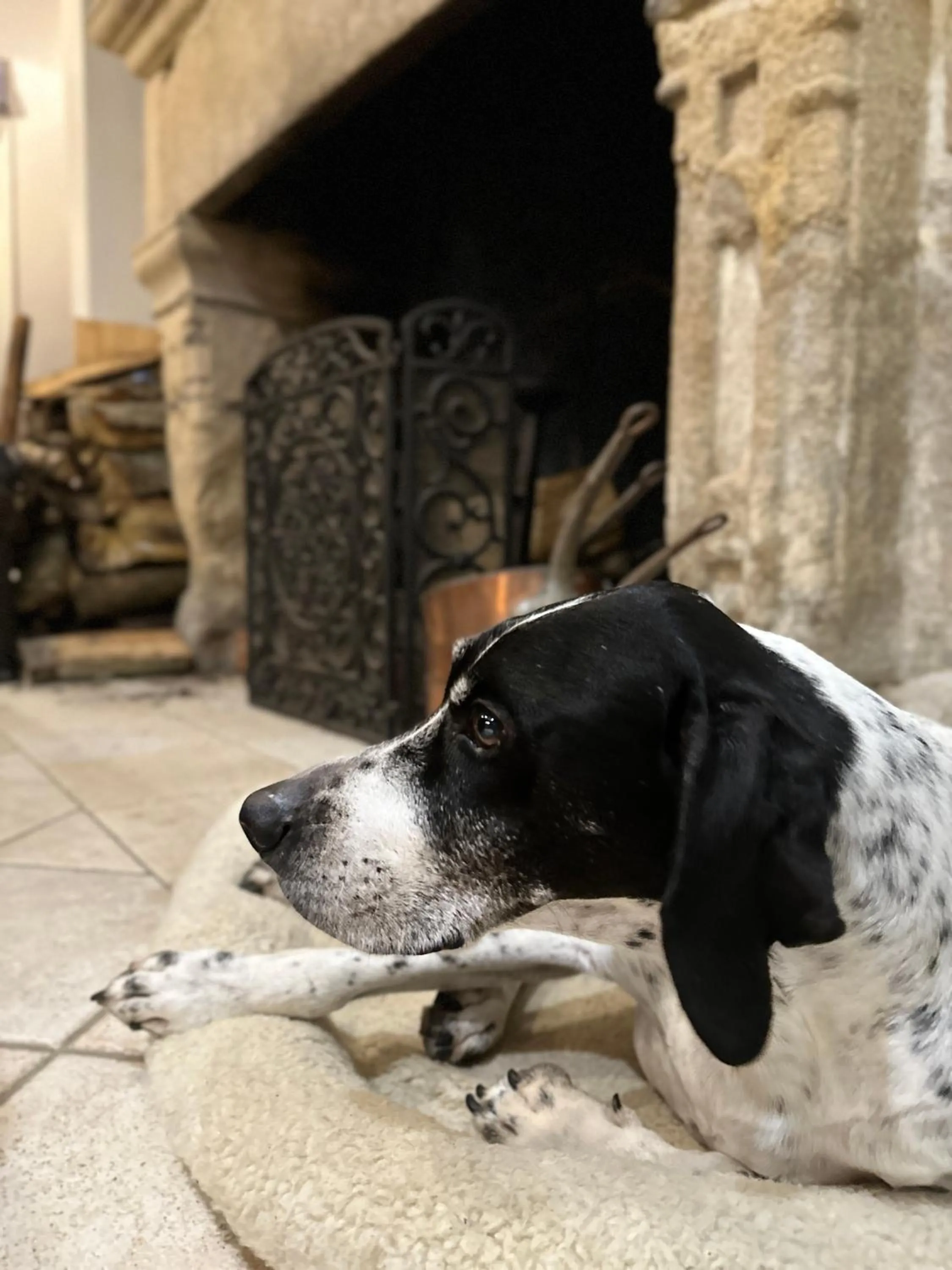 Lounge or bar in Logis Hôtel Le Manoir Des Portes