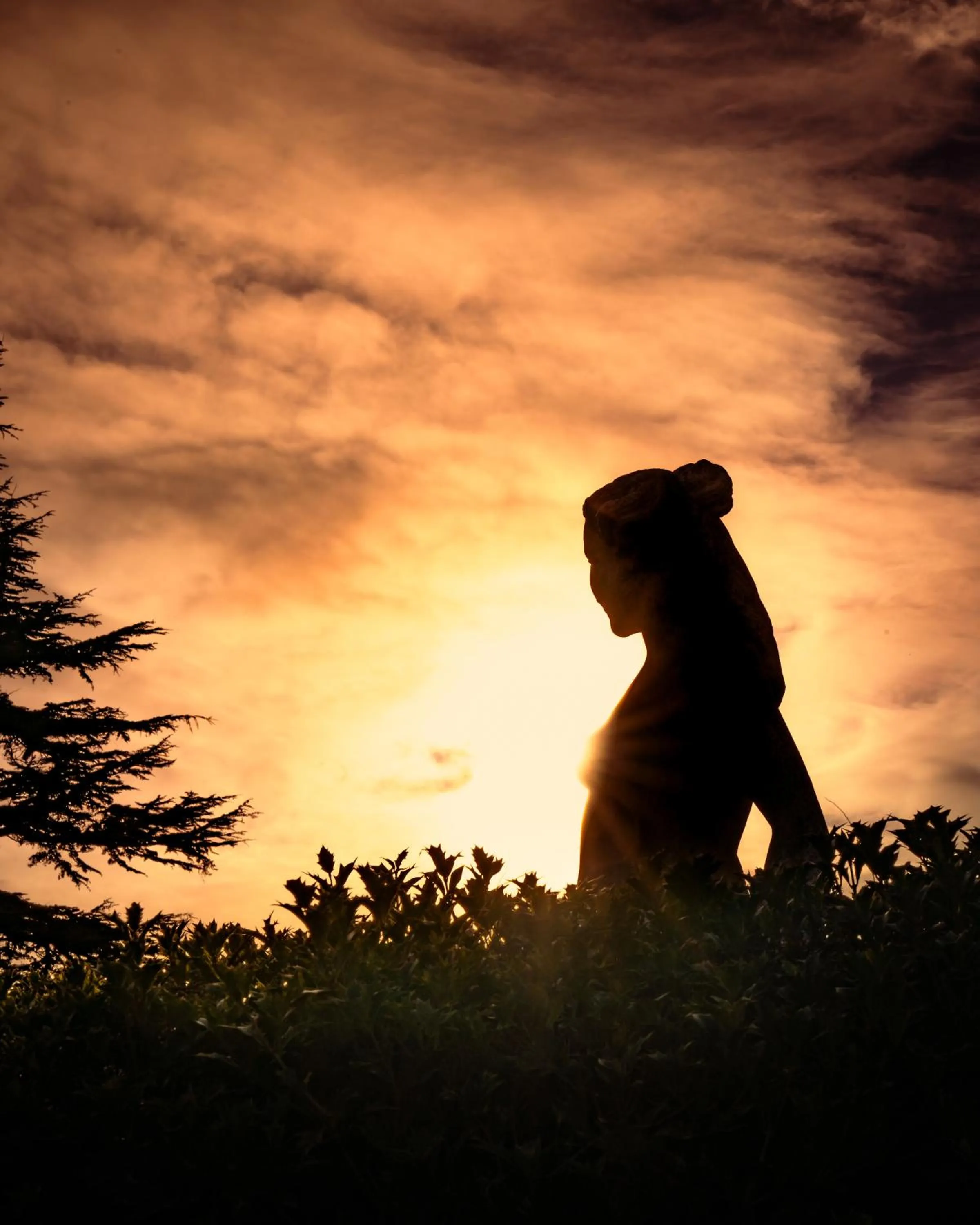 Garden in The Manor at Bickley