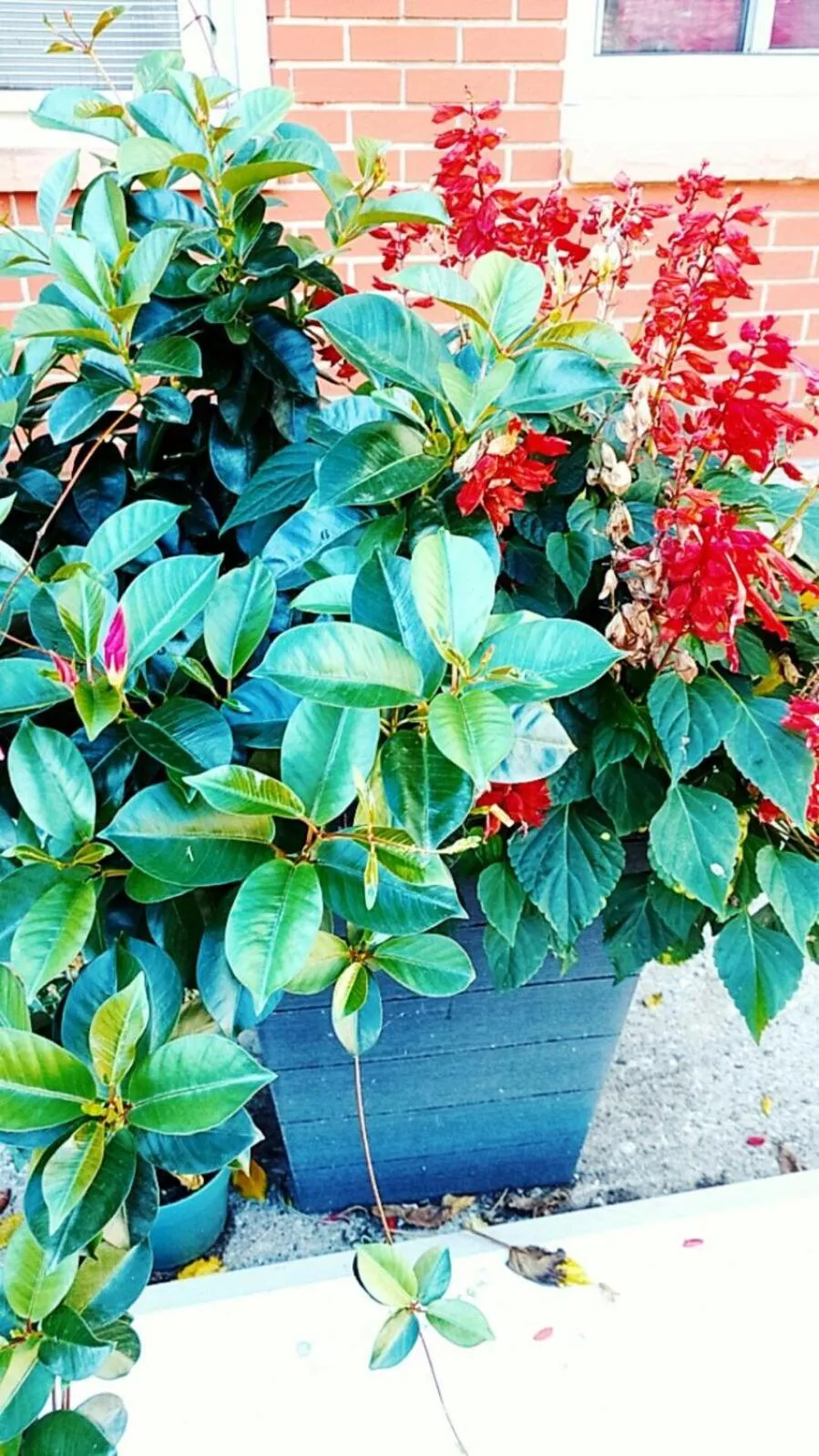 Property building in Leisure Motel