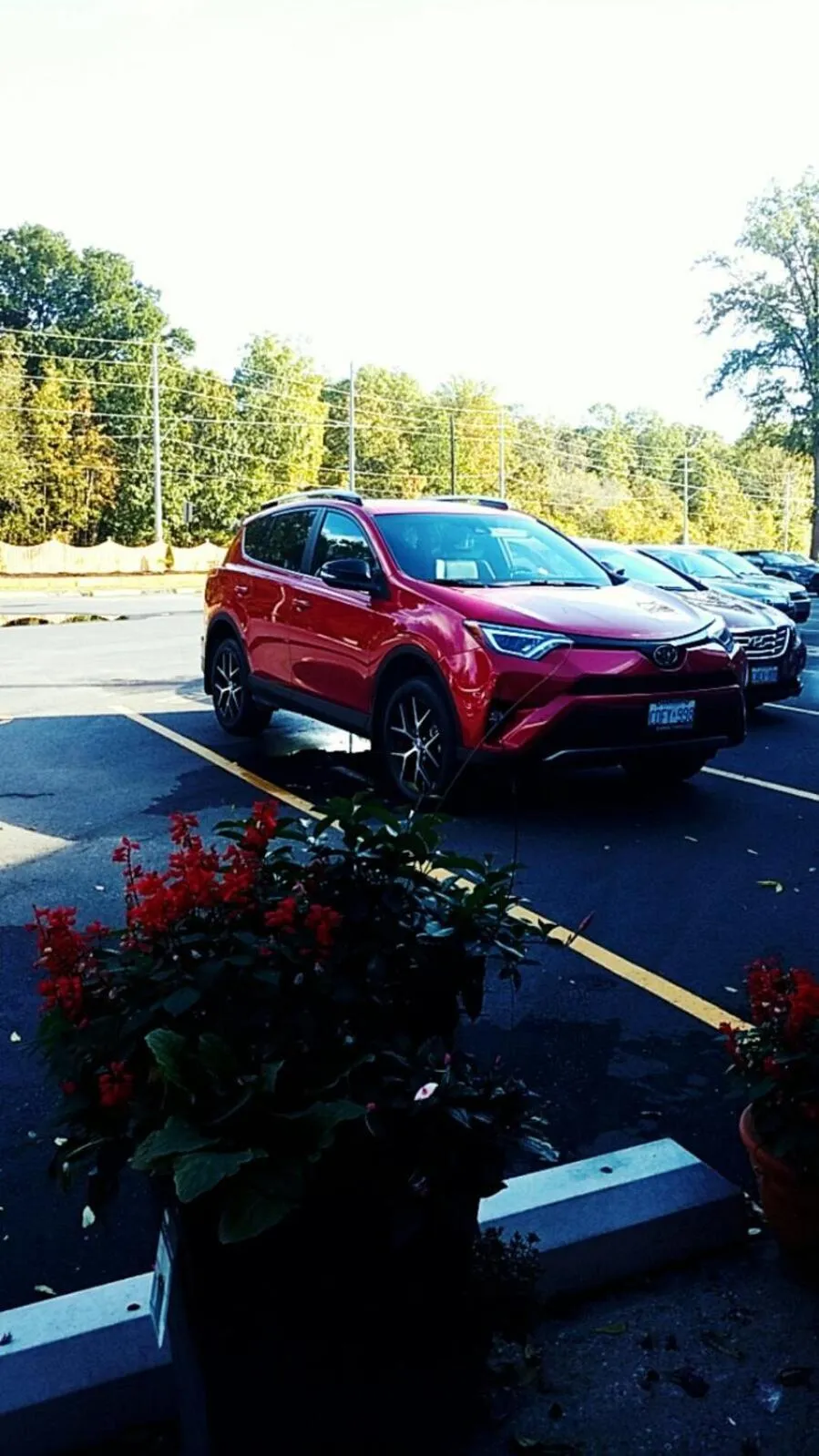 Property building in Leisure Motel