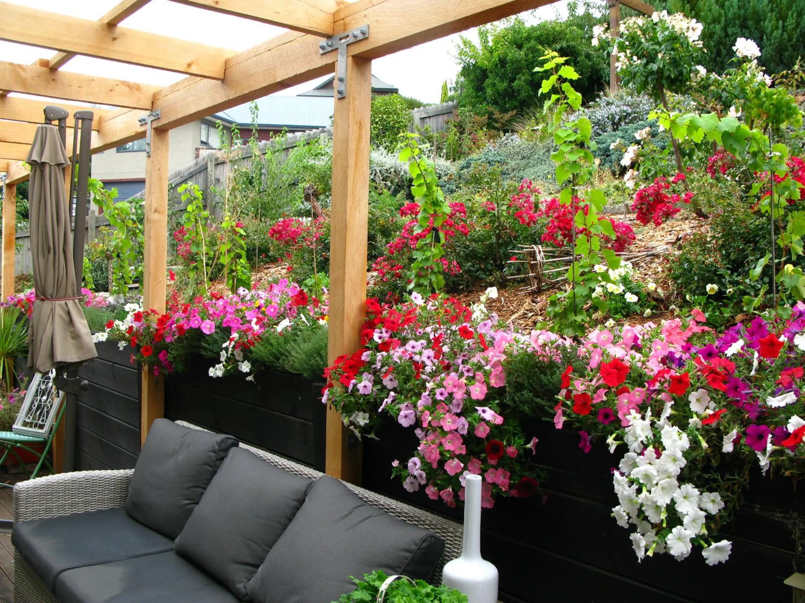 Summer in Tempest on Wanaka