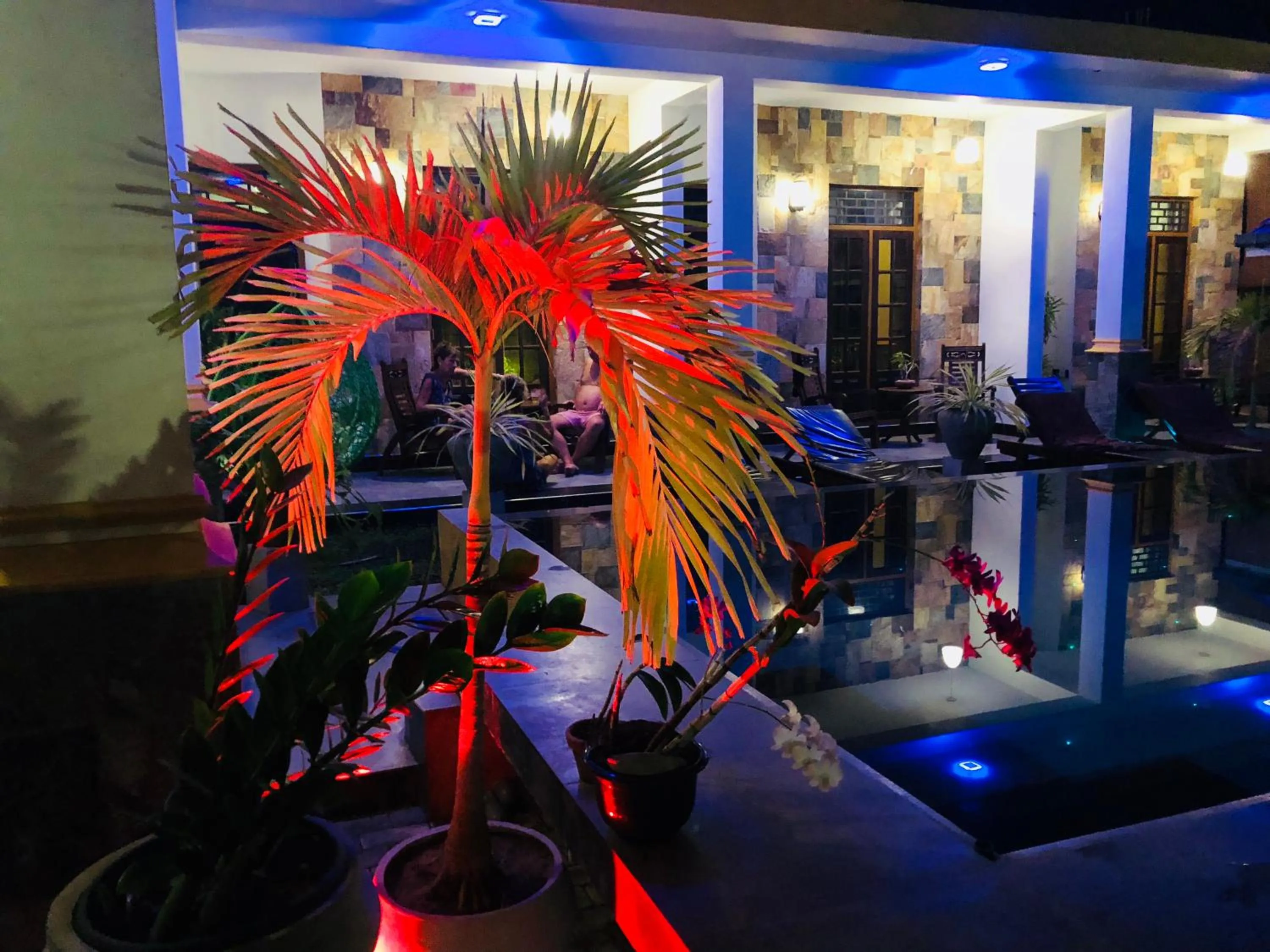 Pool view in St CLAIRE'S GREEN Negombo Hotel & Hostels