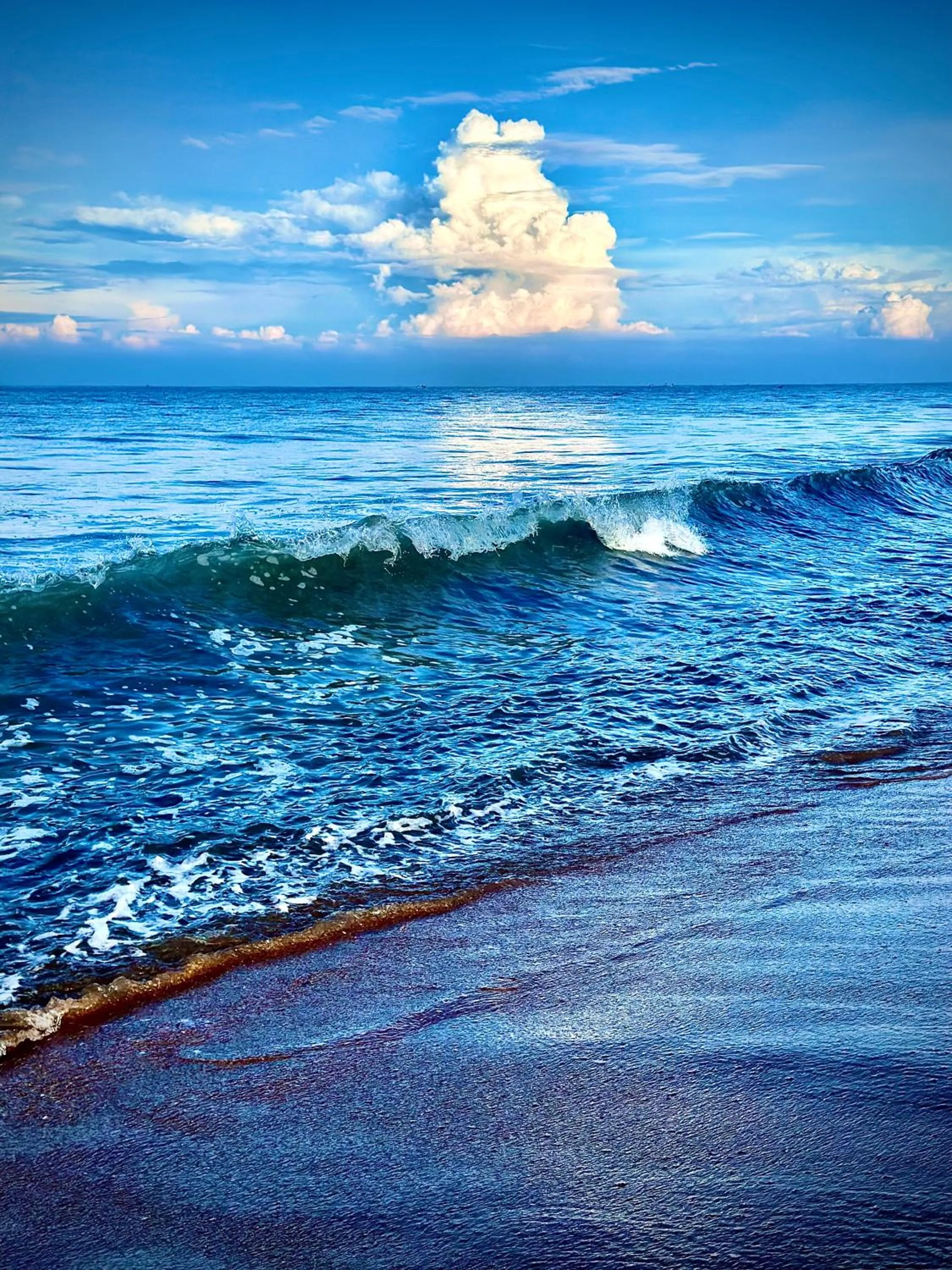 St CLAIRE'S GREEN Negombo Hotel & Hostels