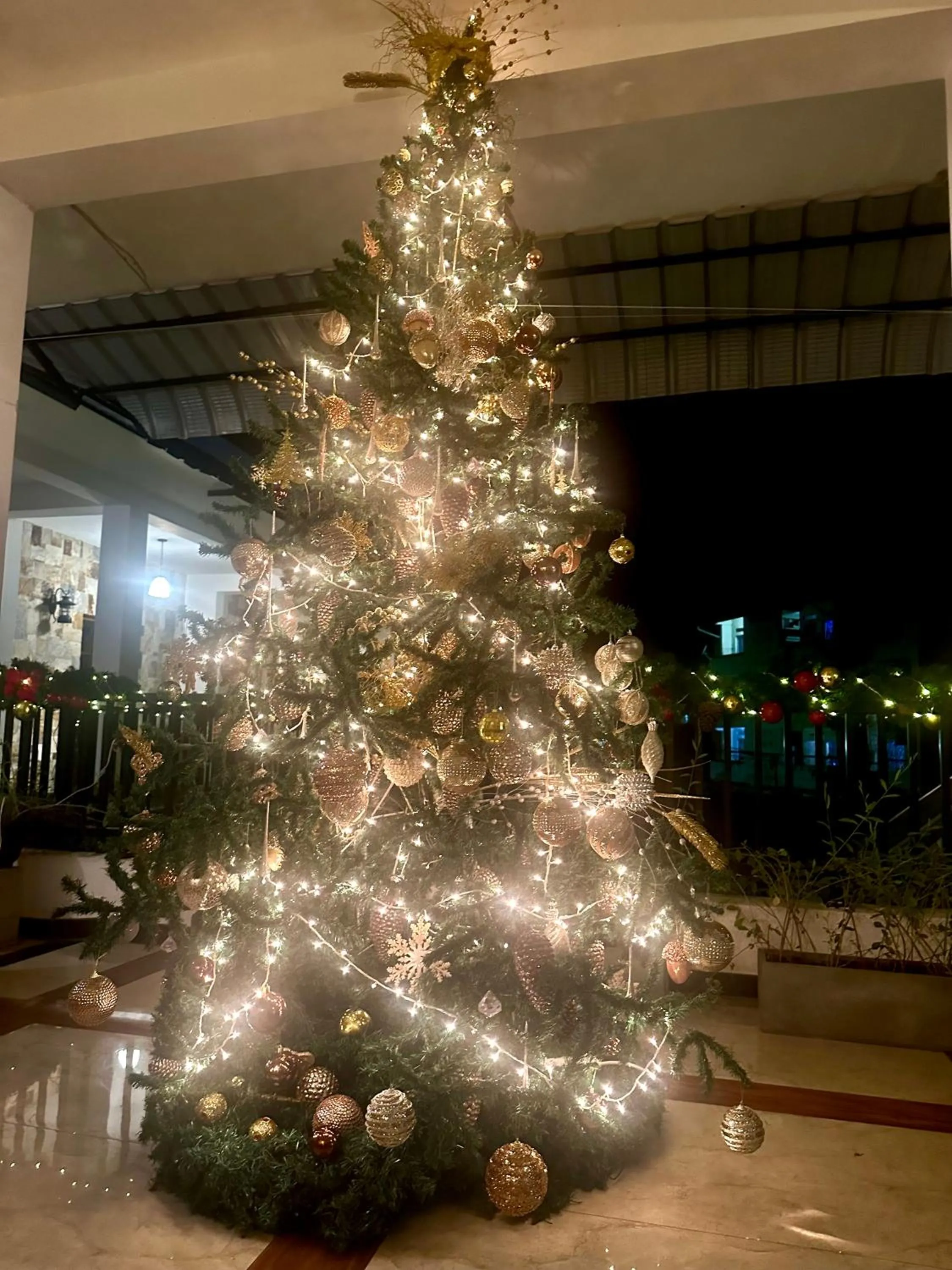 St CLAIRE'S GREEN Negombo Hotel & Hostels