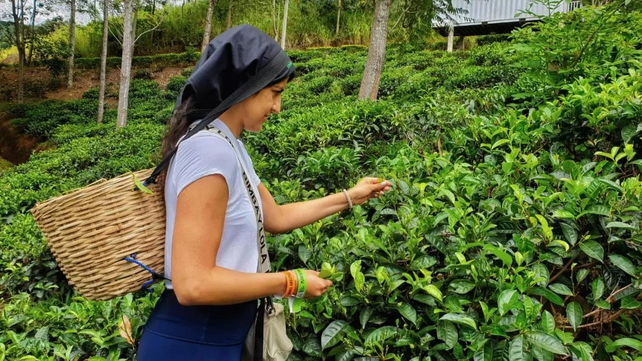 St CLAIRE'S GREEN Negombo Hotel & Hostels