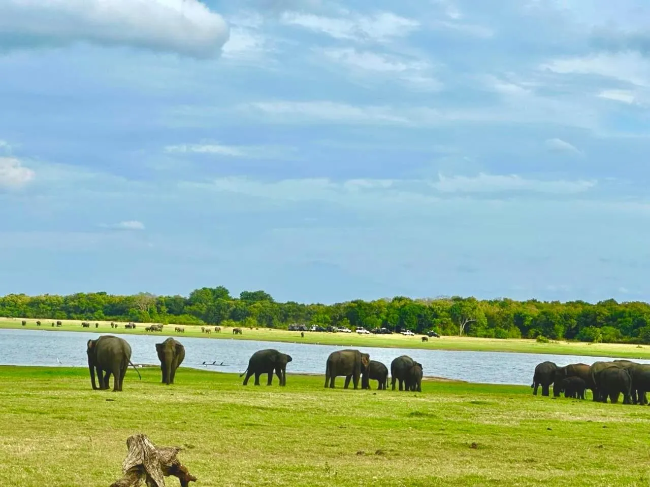 St CLAIRE'S GREEN Negombo Hotel & Hostels