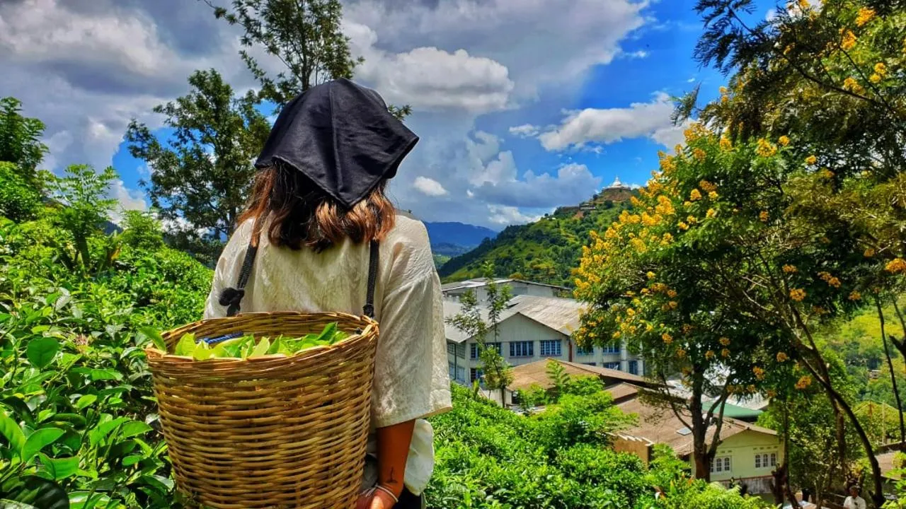 St CLAIRE'S GREEN Negombo Hotel & Hostels