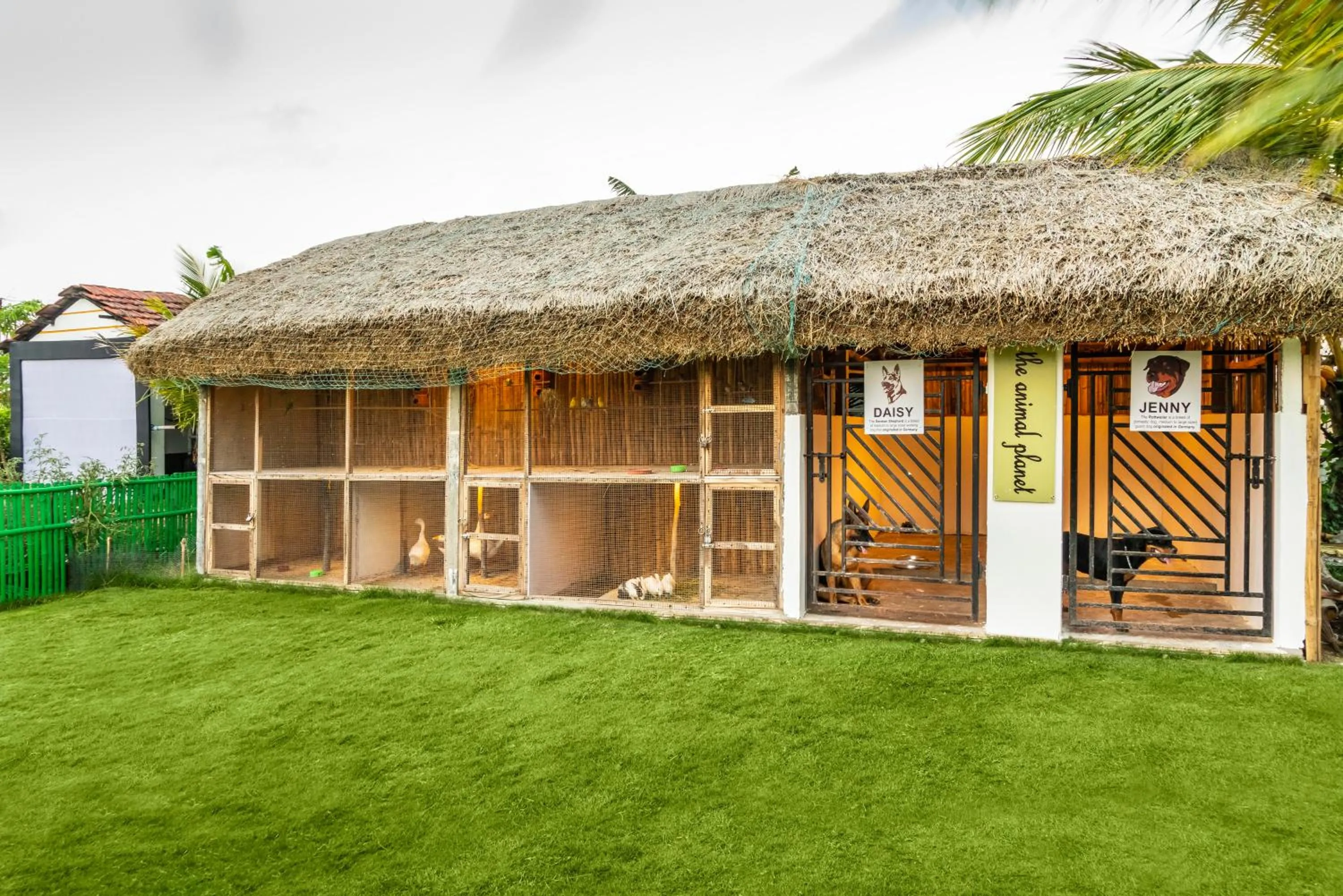 Pets in Viceroy Beach And Spa Resort