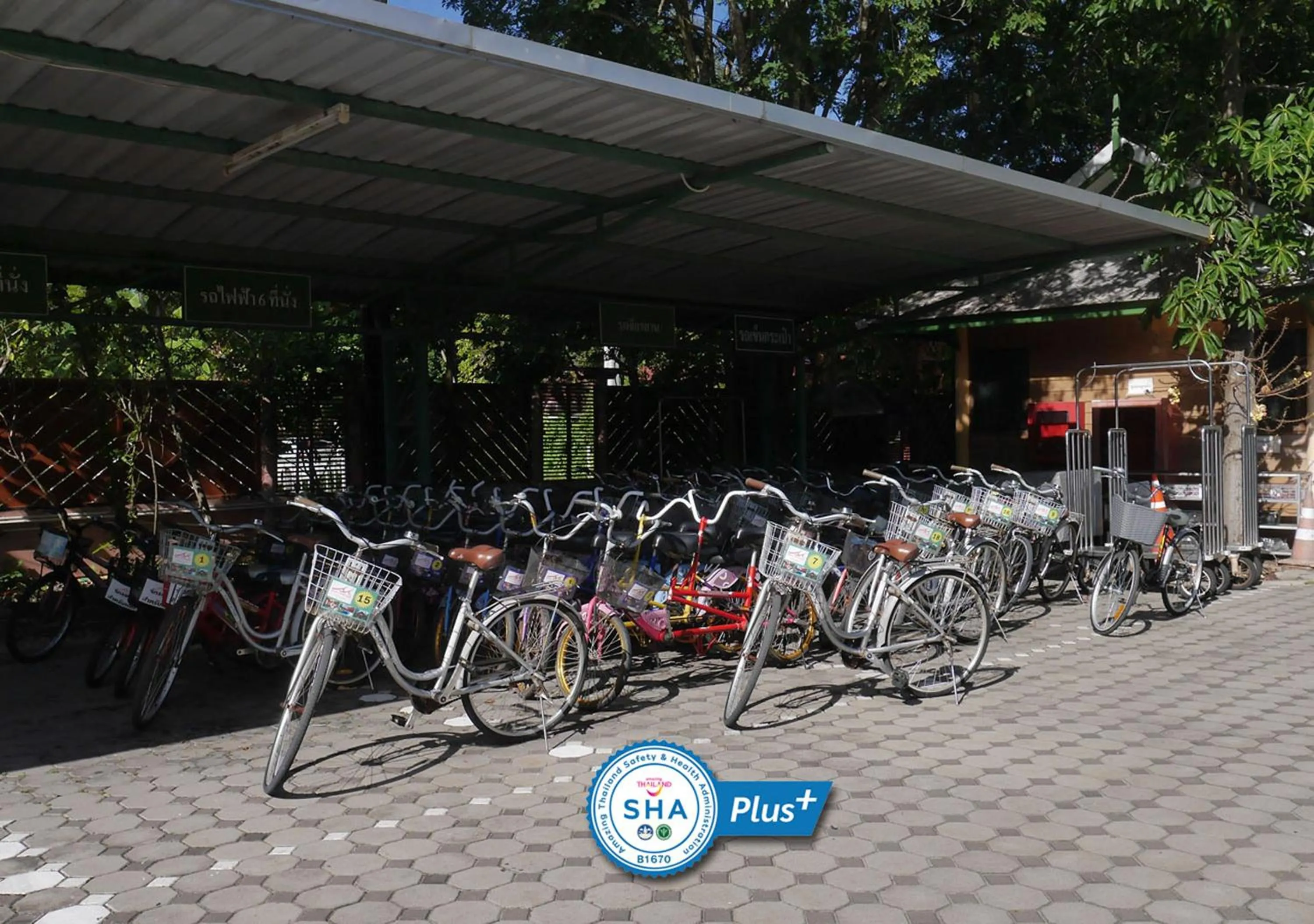 Activities in Baan Amphawa Resort & Spa - SHA Certified