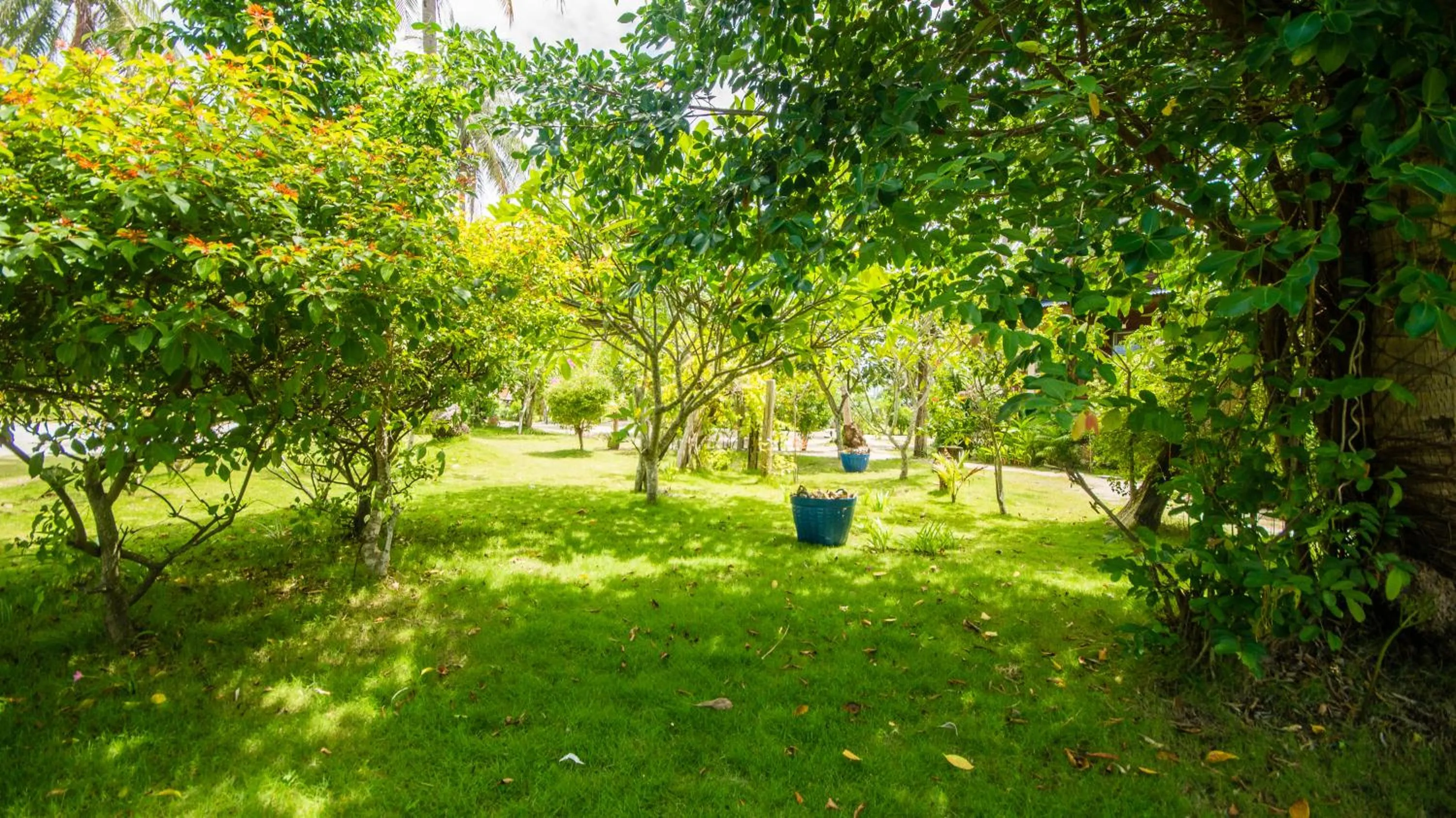 Garden in Tropicana Khophagan Resort Hotel