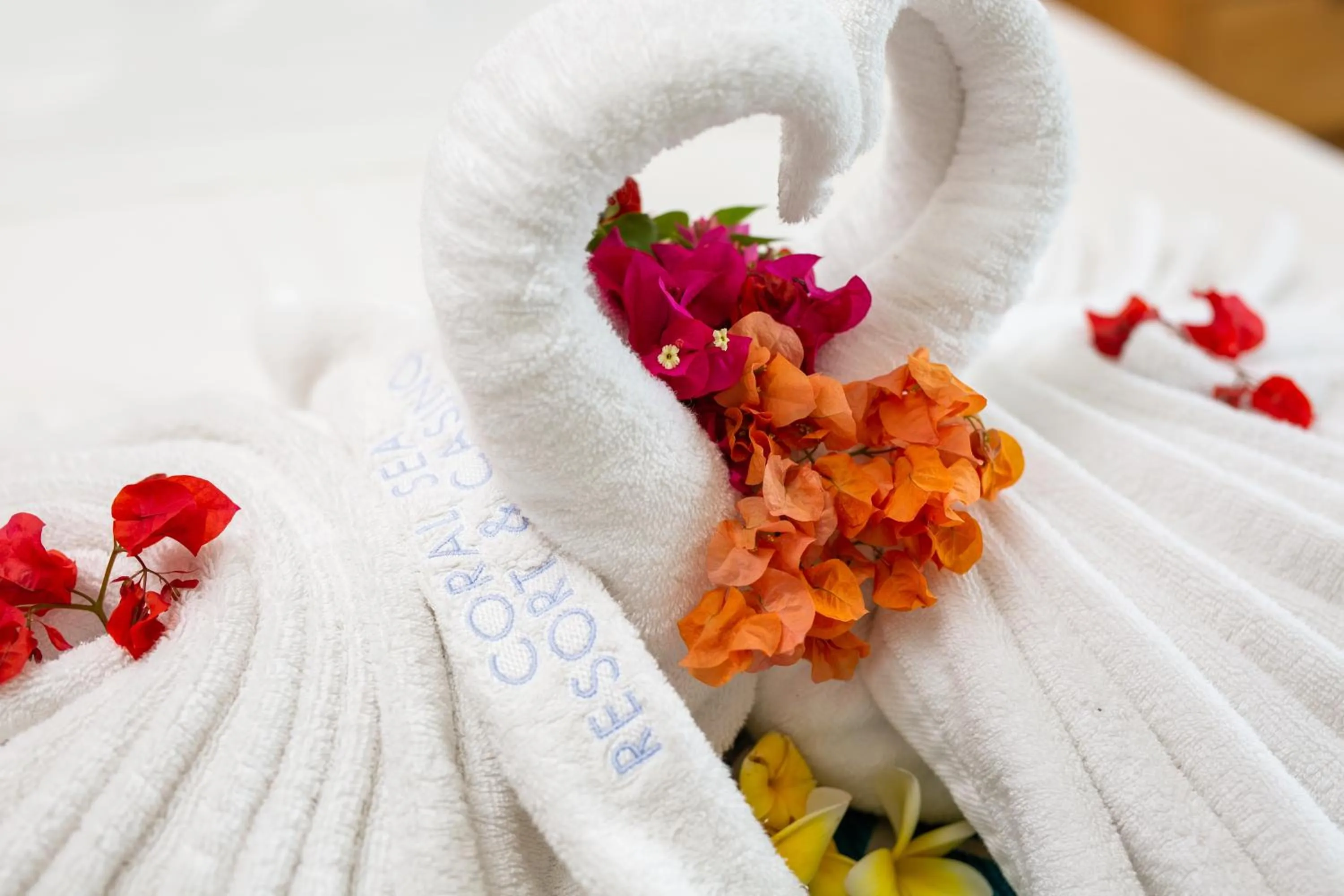 towels in Coral Sea Resort & Casino