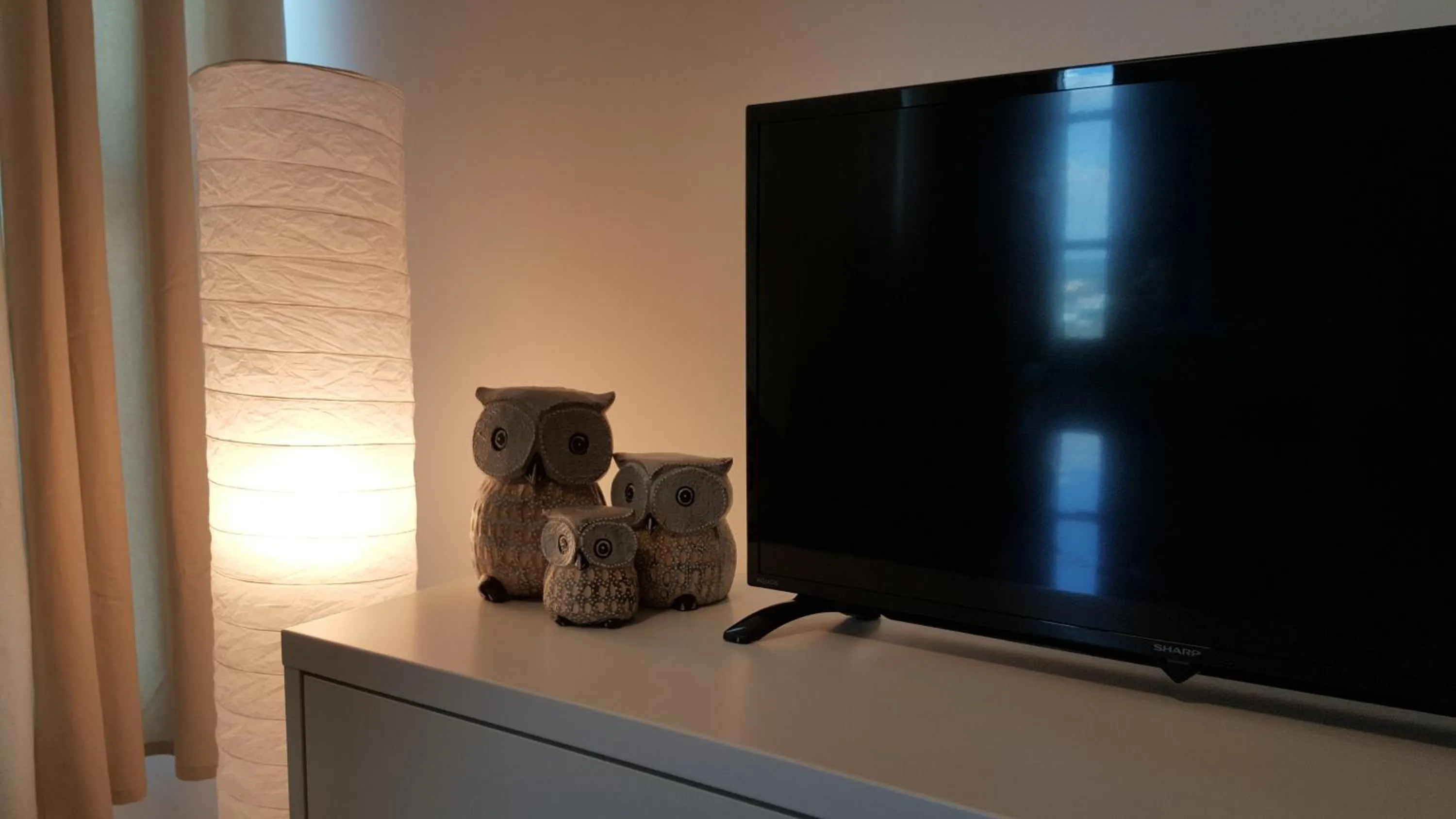 TV and multimedia in VIsta Home Homestay at Vista Alam