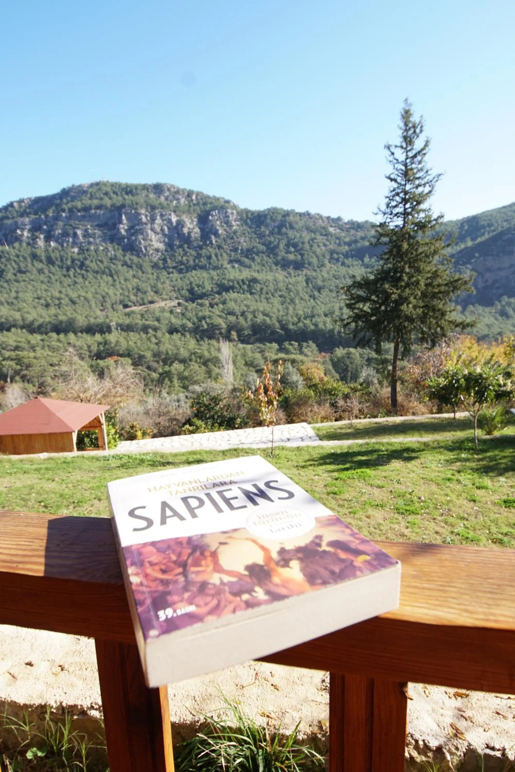 Balcony/Terrace in Lycia Nature House