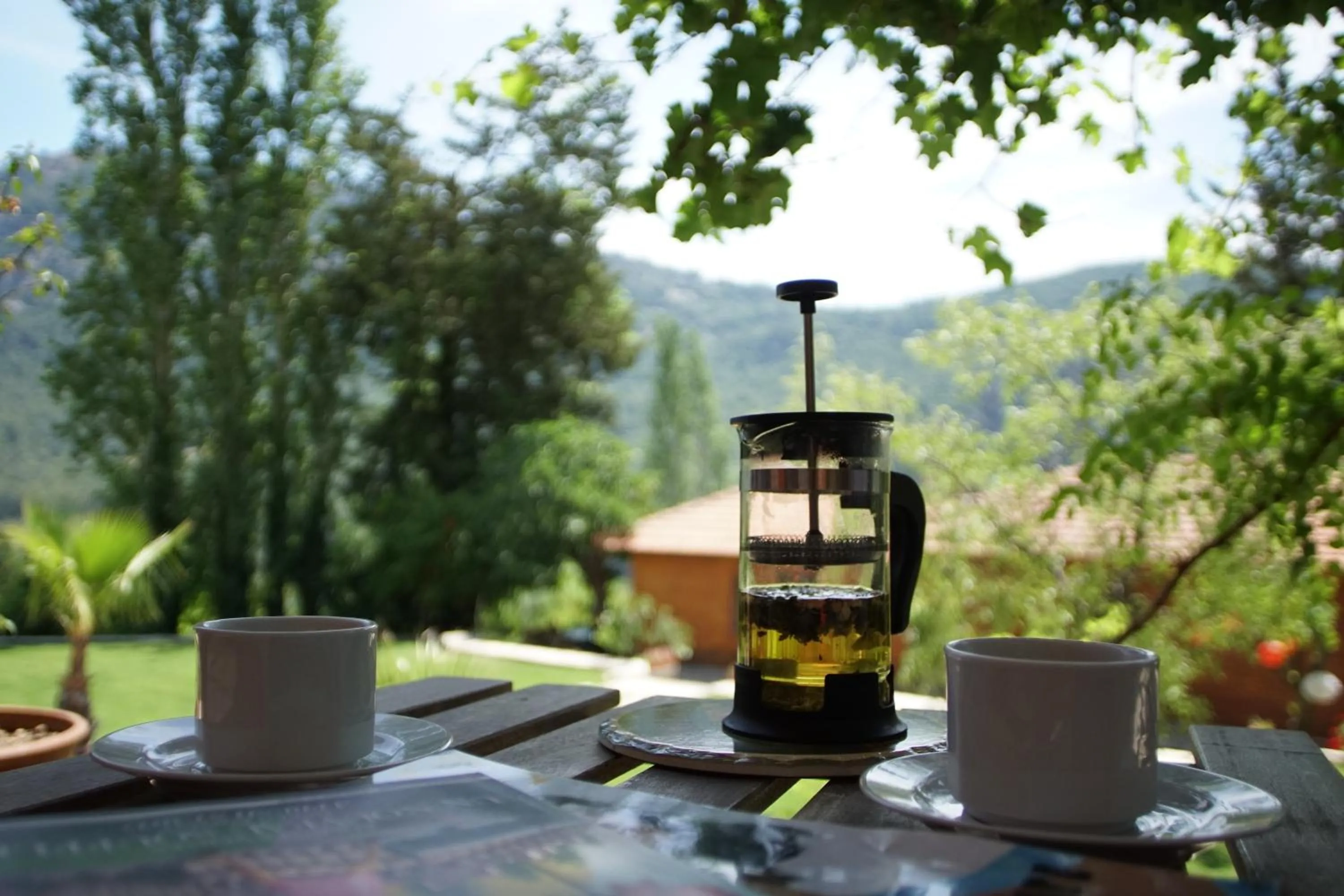 Non alcoholic drinks in Lycia Nature House