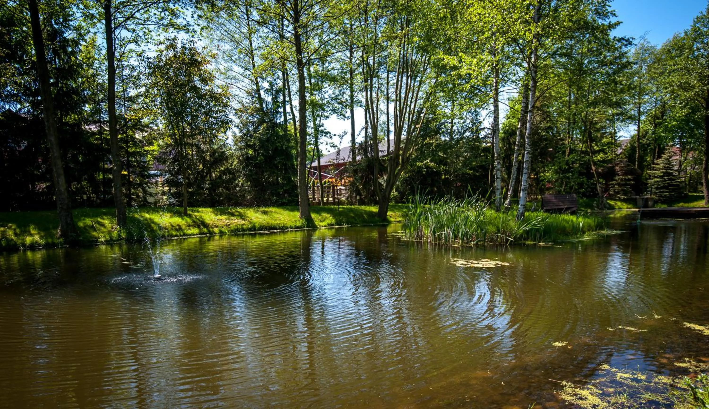Natural landscape in Akademia Kuraszków