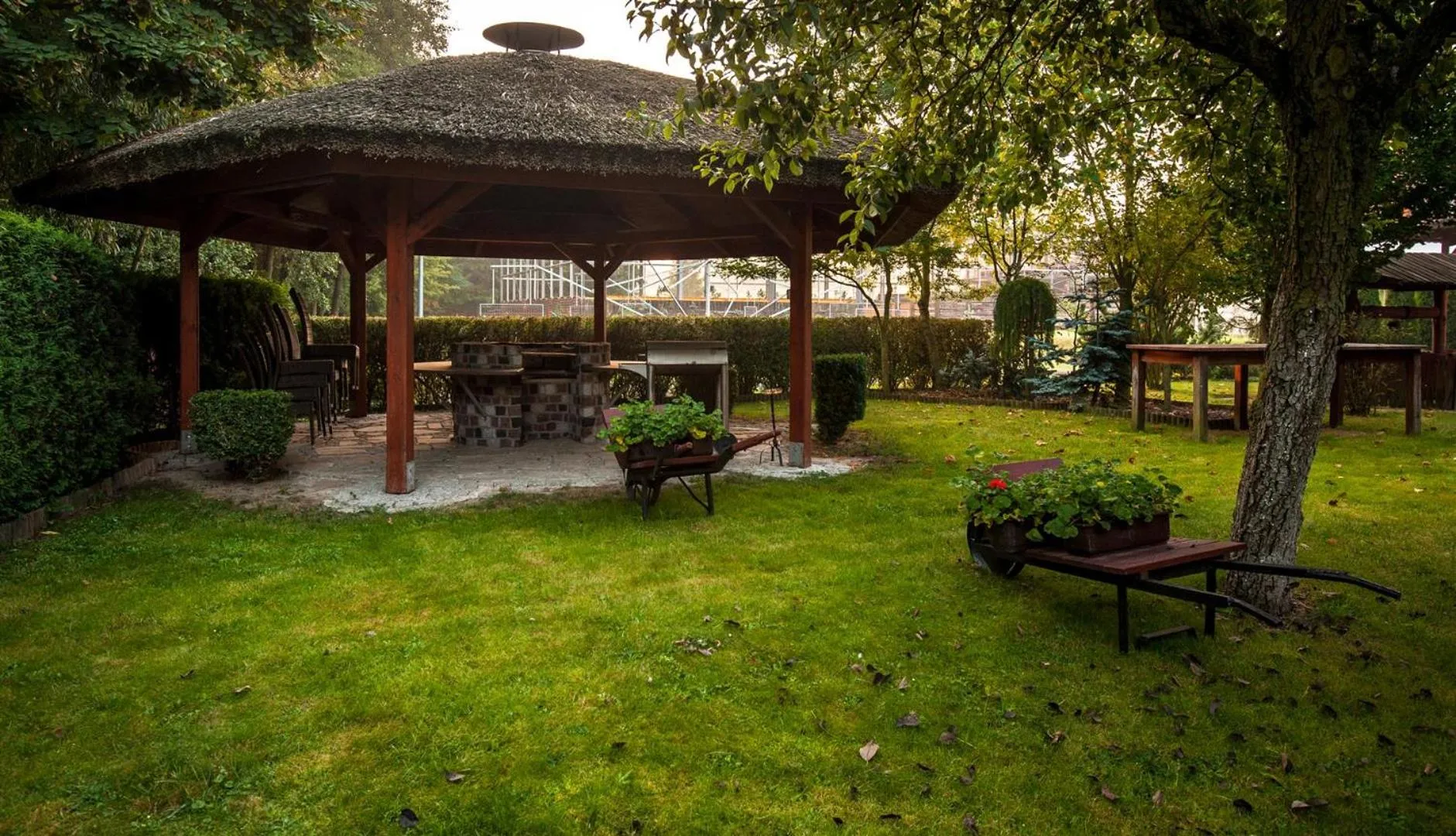 Garden in Akademia Kuraszków