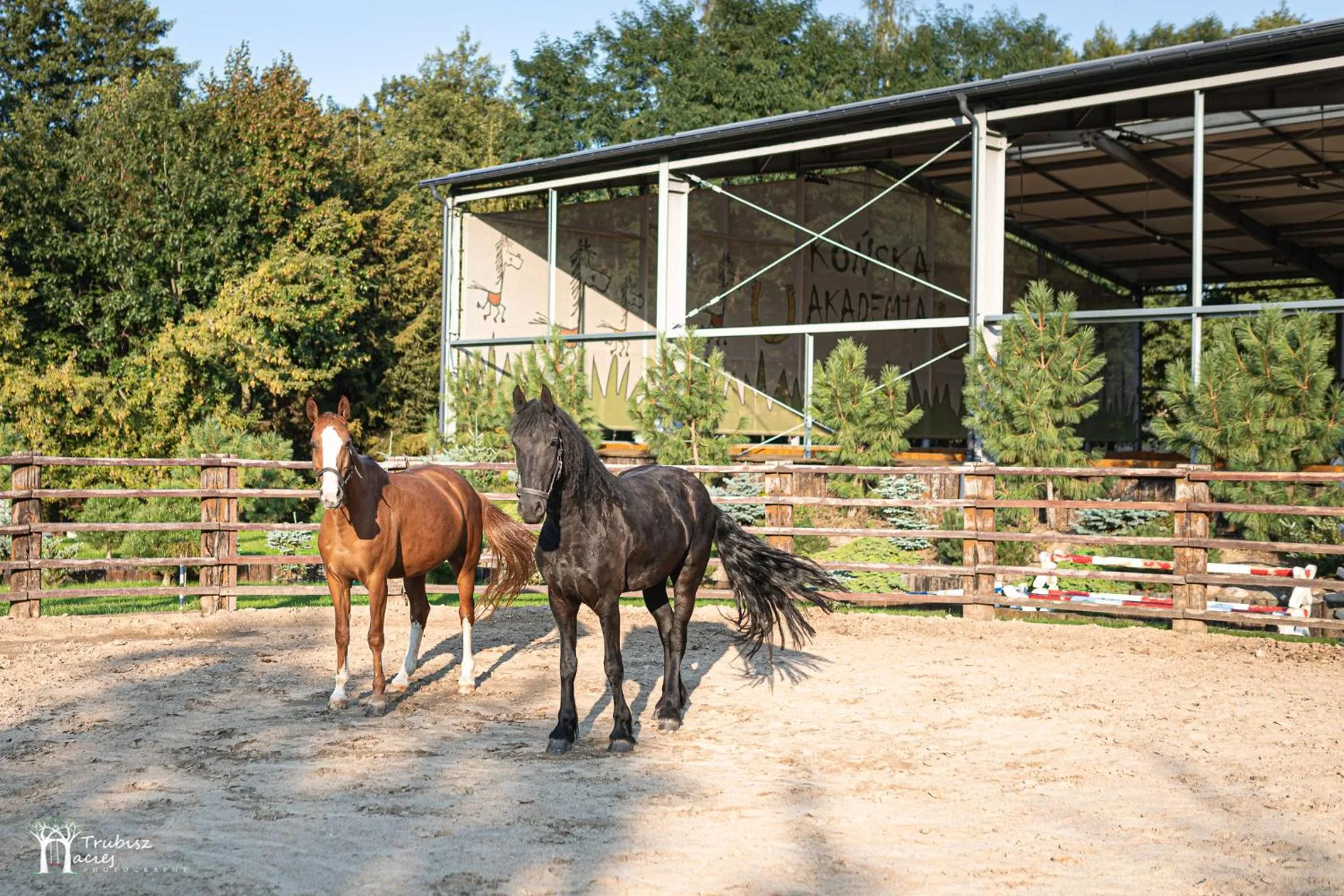 Animals in Akademia Kuraszków