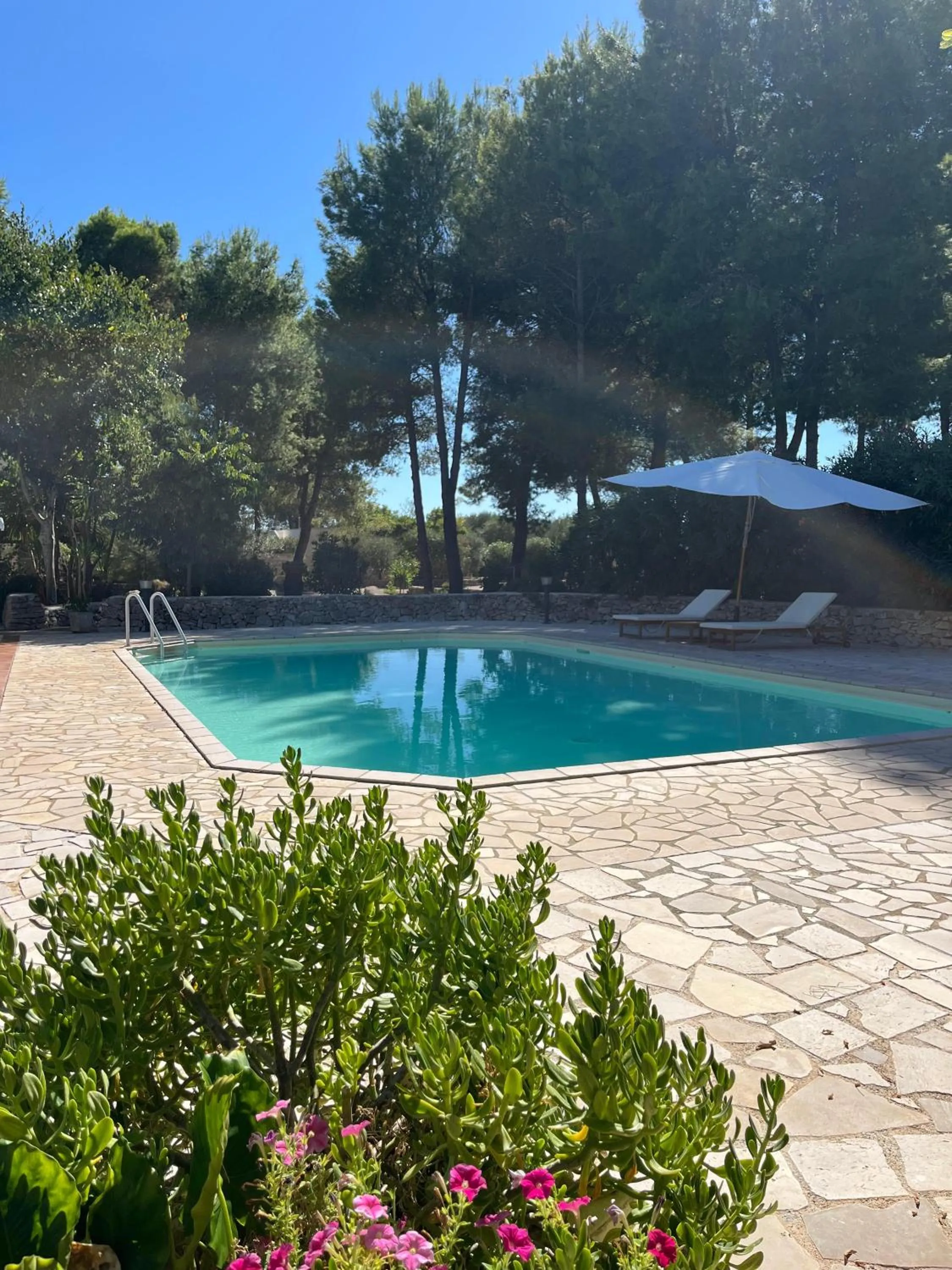 Swimming pool in Masseria La Camardia