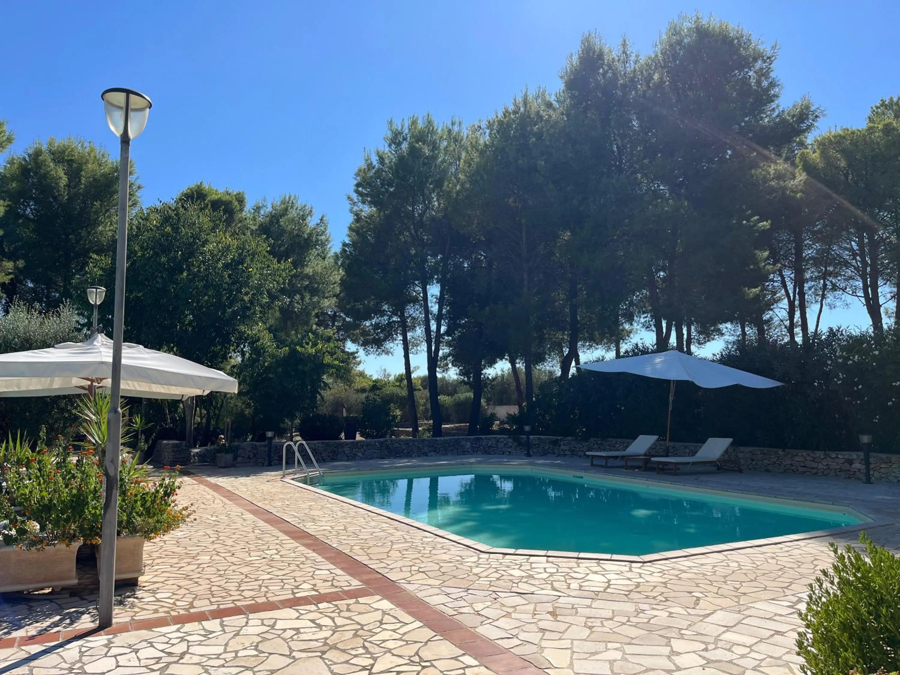 Swimming pool in Masseria La Camardia