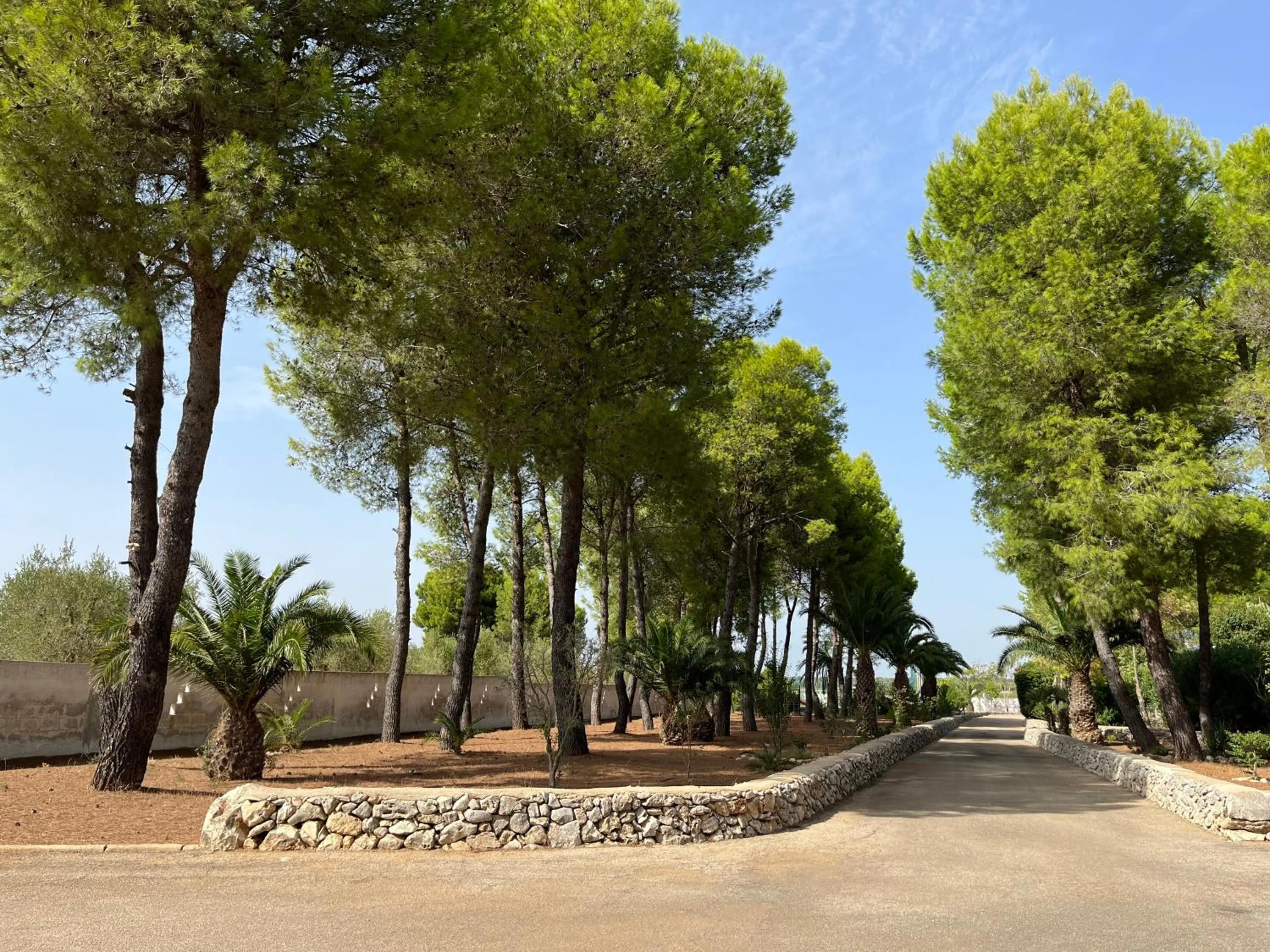 Garden in Masseria La Camardia