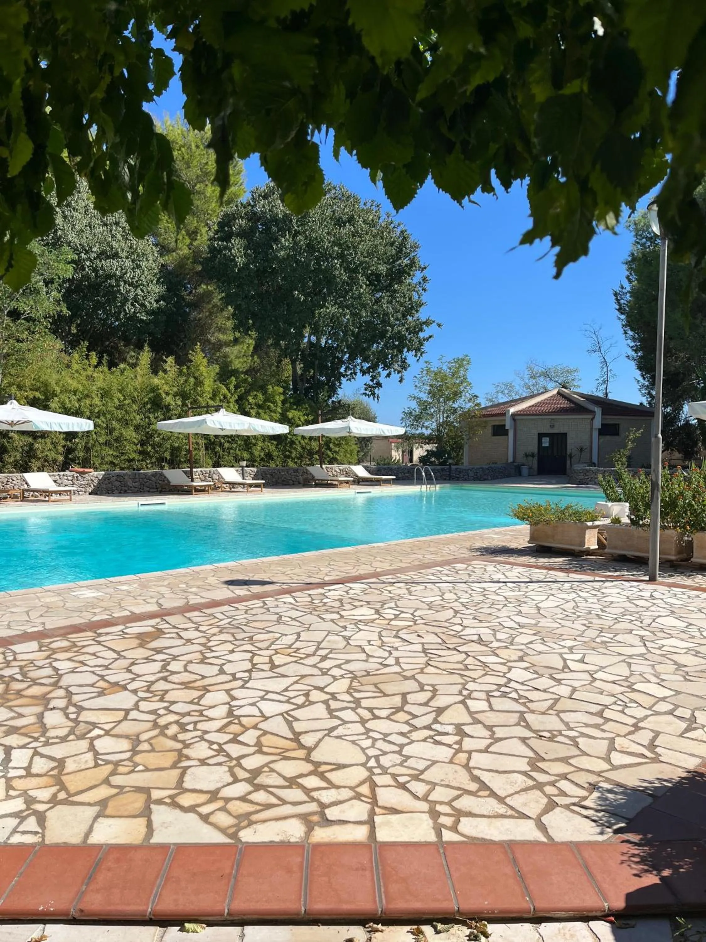 Swimming pool in Masseria La Camardia
