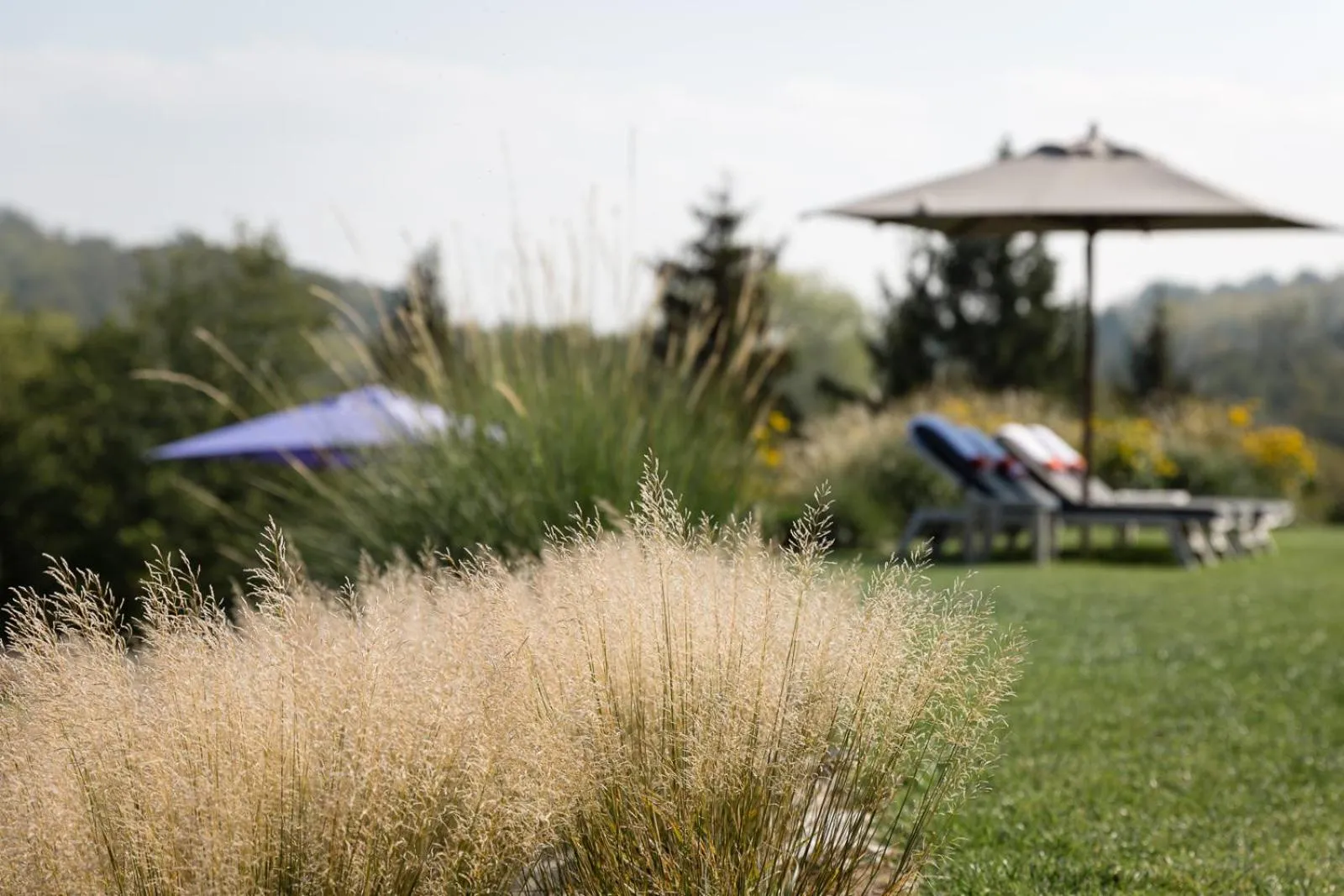 Garden in Locanda La Raia