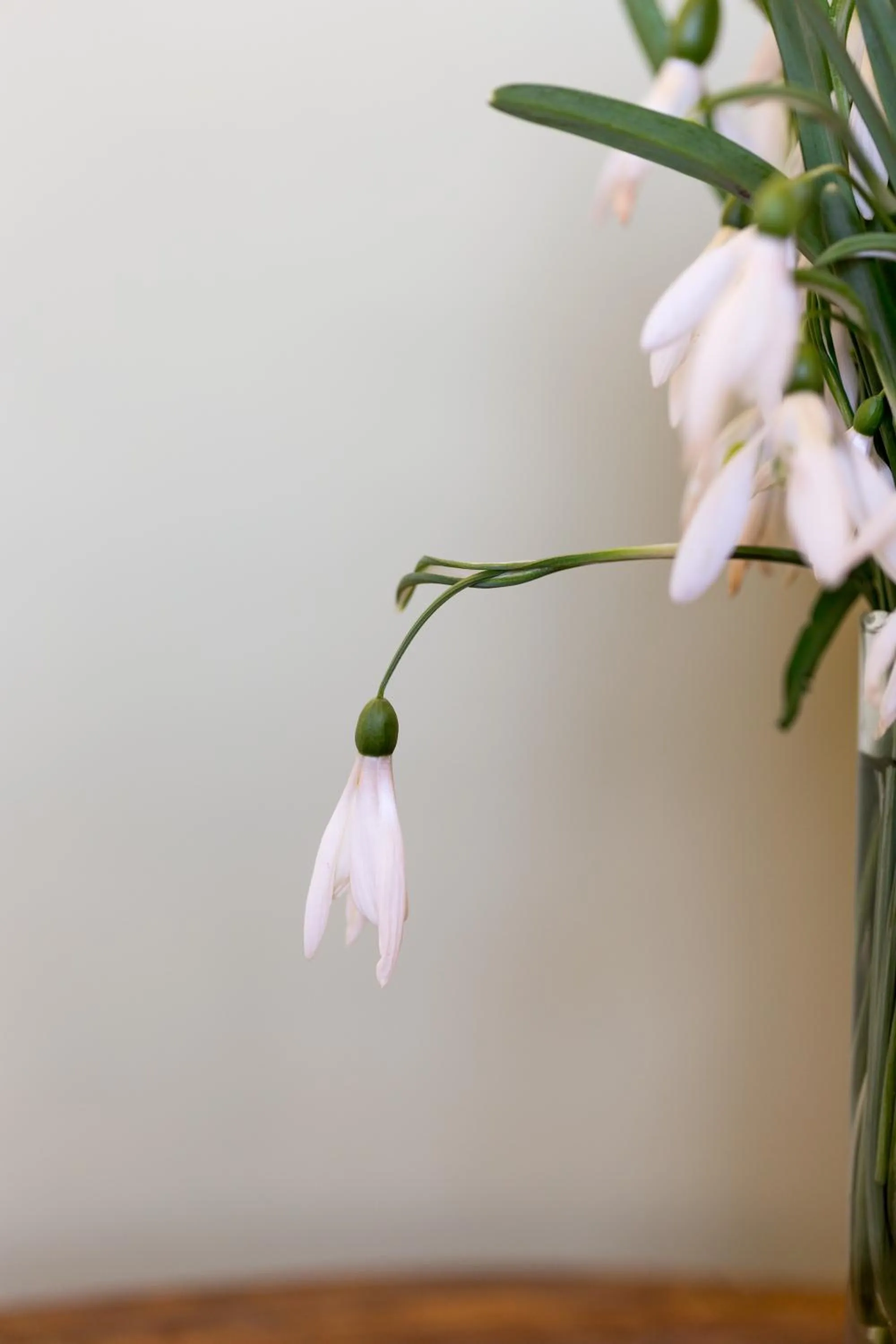 Decorative detail in Locanda La Raia
